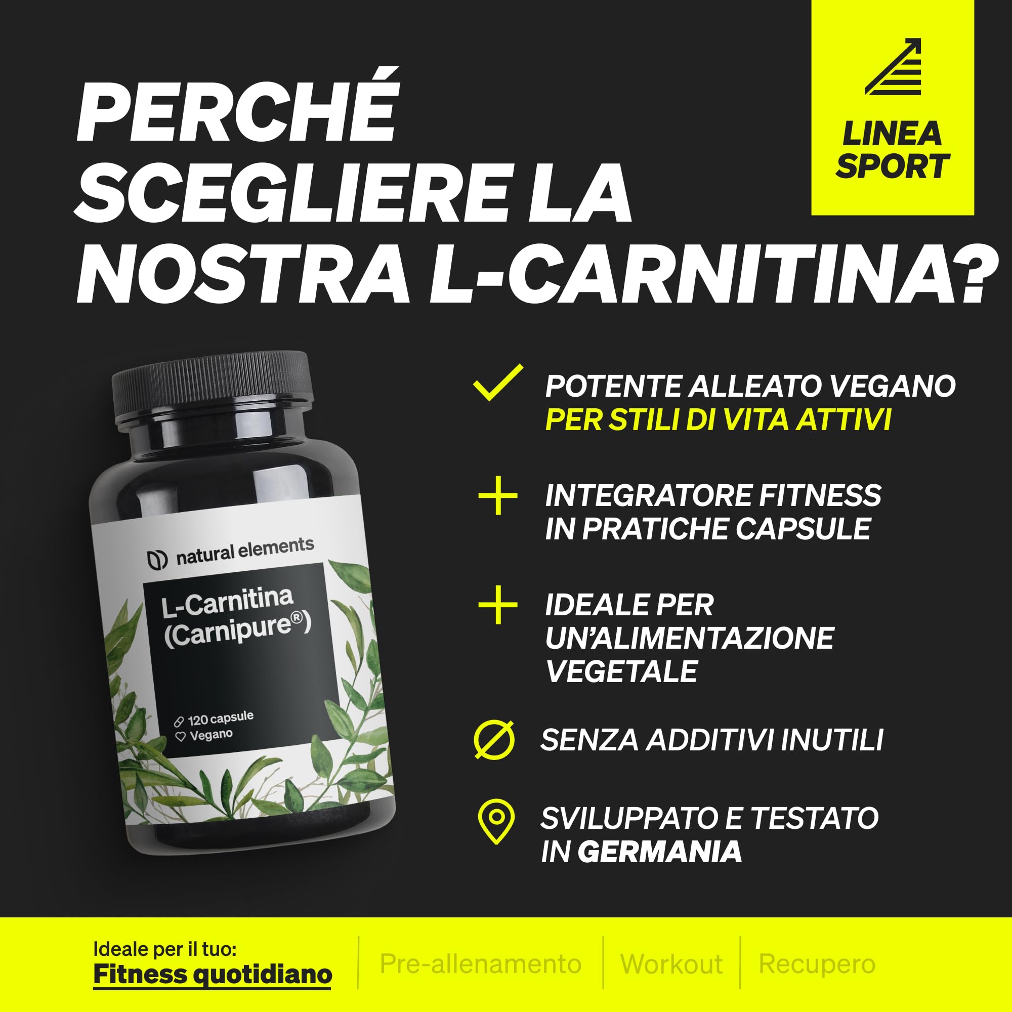 L-Carnitina 2000 con Carnipure, 2000 mg di L-carnitina per Dose Giornaliera, 120 Capsule Vegan, ad Alto Dosaggio e Senza Additivi, Prodotto e Testato in Laboratorio in Germania