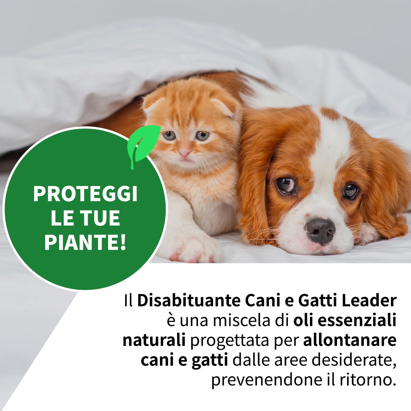 LEADER, Disabituante Spray, Repellente, Dissuasore, Allontana Cani e Gatti, Crea Barriera Olfattiva, Con Oli Essenziali ed Ingredienti Naturali, Uso per Superfici Interne ed Esterne, Formato da 1L