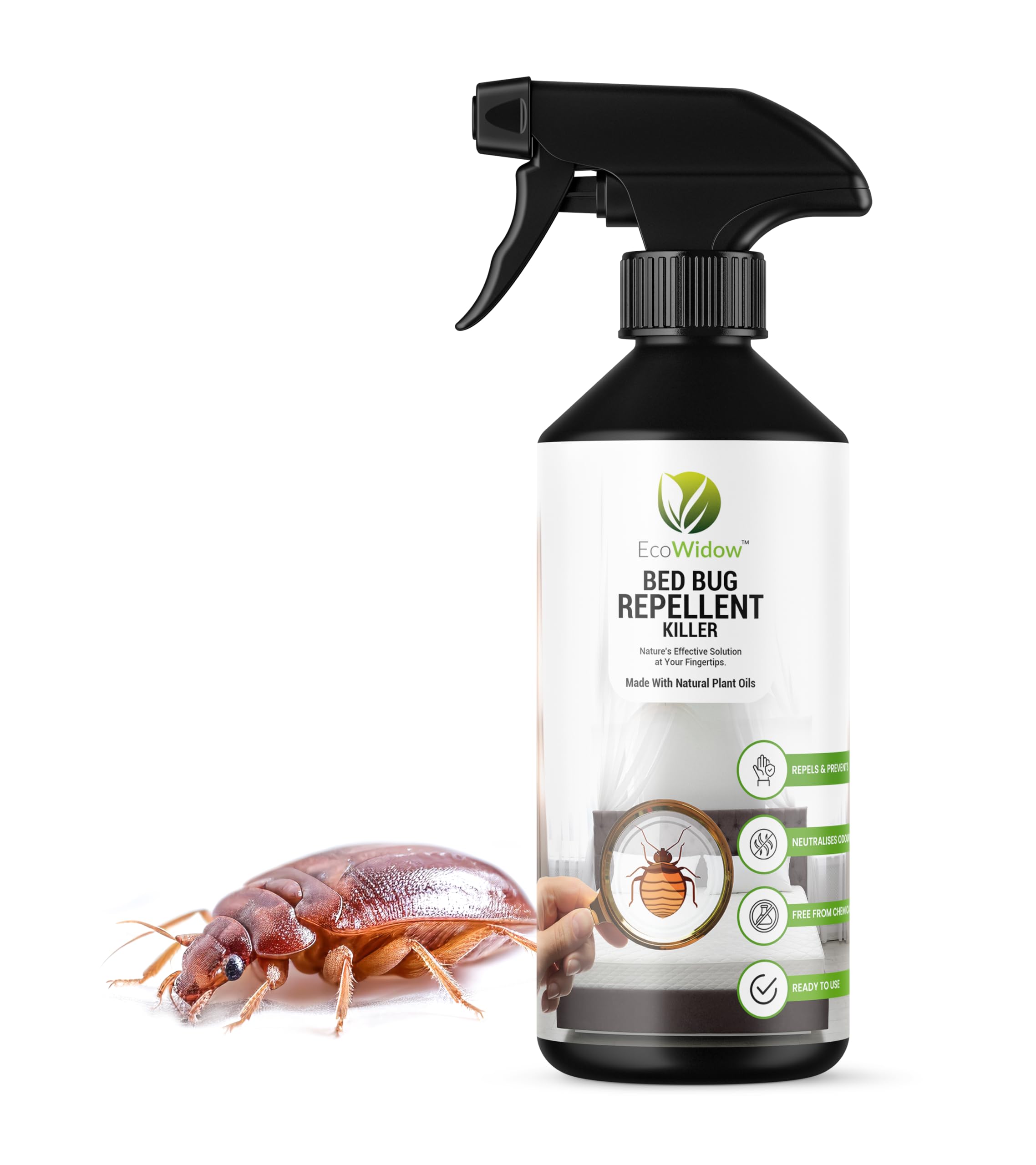 EcoWidow Natural Bed Bug Killer & Repellent Spray, 500ml – Effective Home & Mattress Treatment, Vegan-Friendly, Eco-Friendly, Formula for Safe Indoor Use