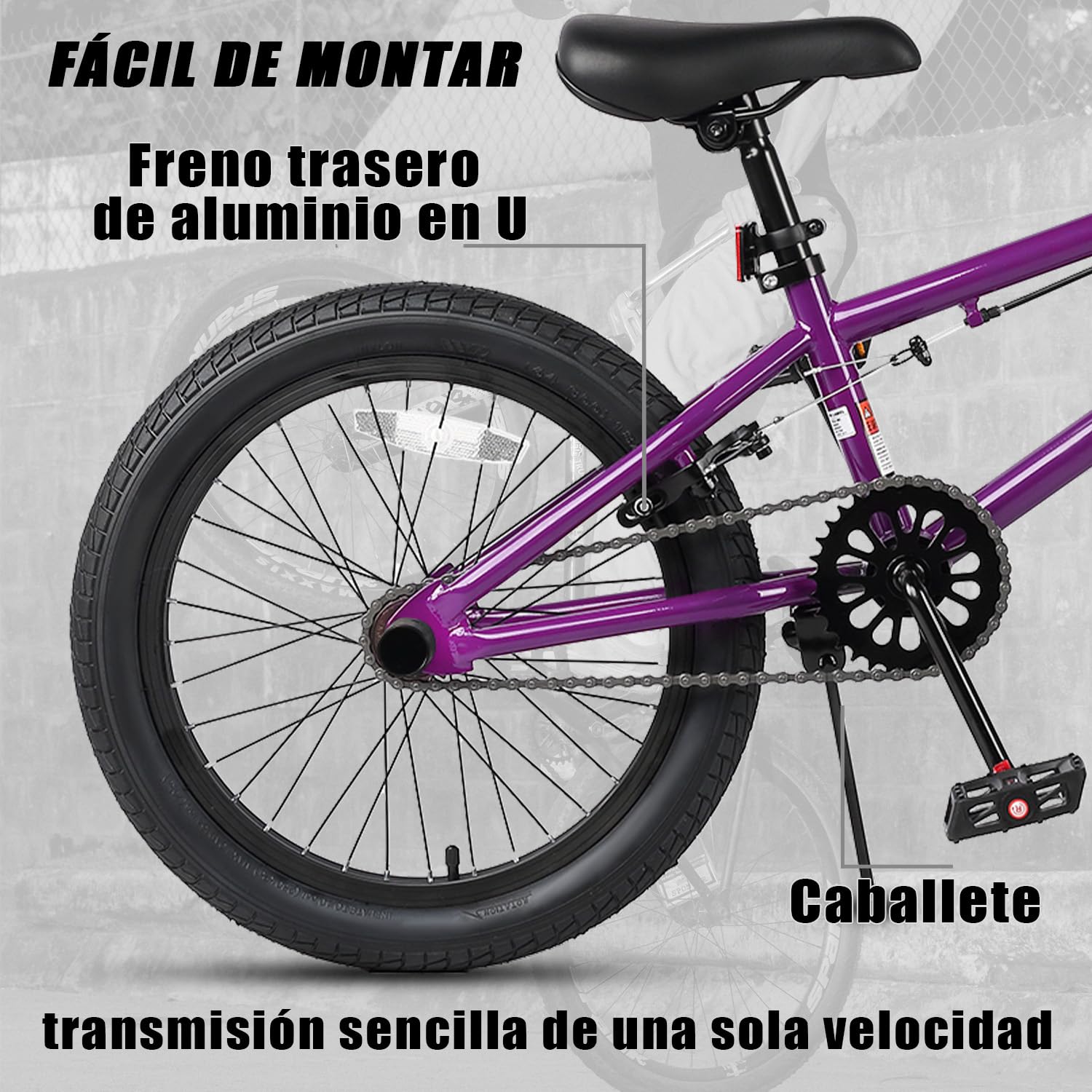AVASTA 20 Pulgadas Freestyle niños BMX Bicicleta para 6 7 8 9 10 11 12 13 14 años niños niñas Adultos jóvenes y Principiantes con 4 Peg,púrpura