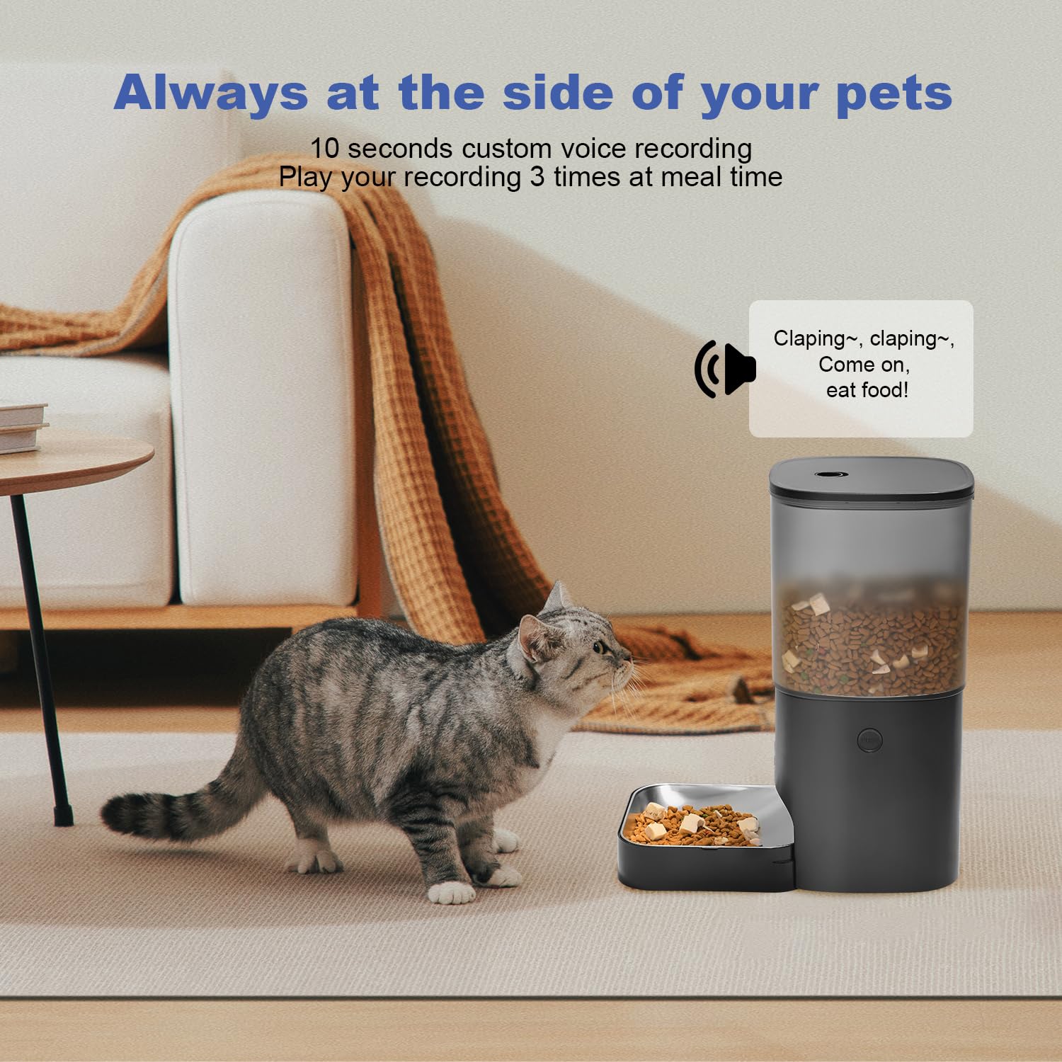 Automatic Cat Feeder, 6L Cat Food Dispenser with 10s Voice Recorder, Pet Feeder up to 8 Meals per Day, Timed Feeder with Dry Food Sealed Ring (Black) - image 8