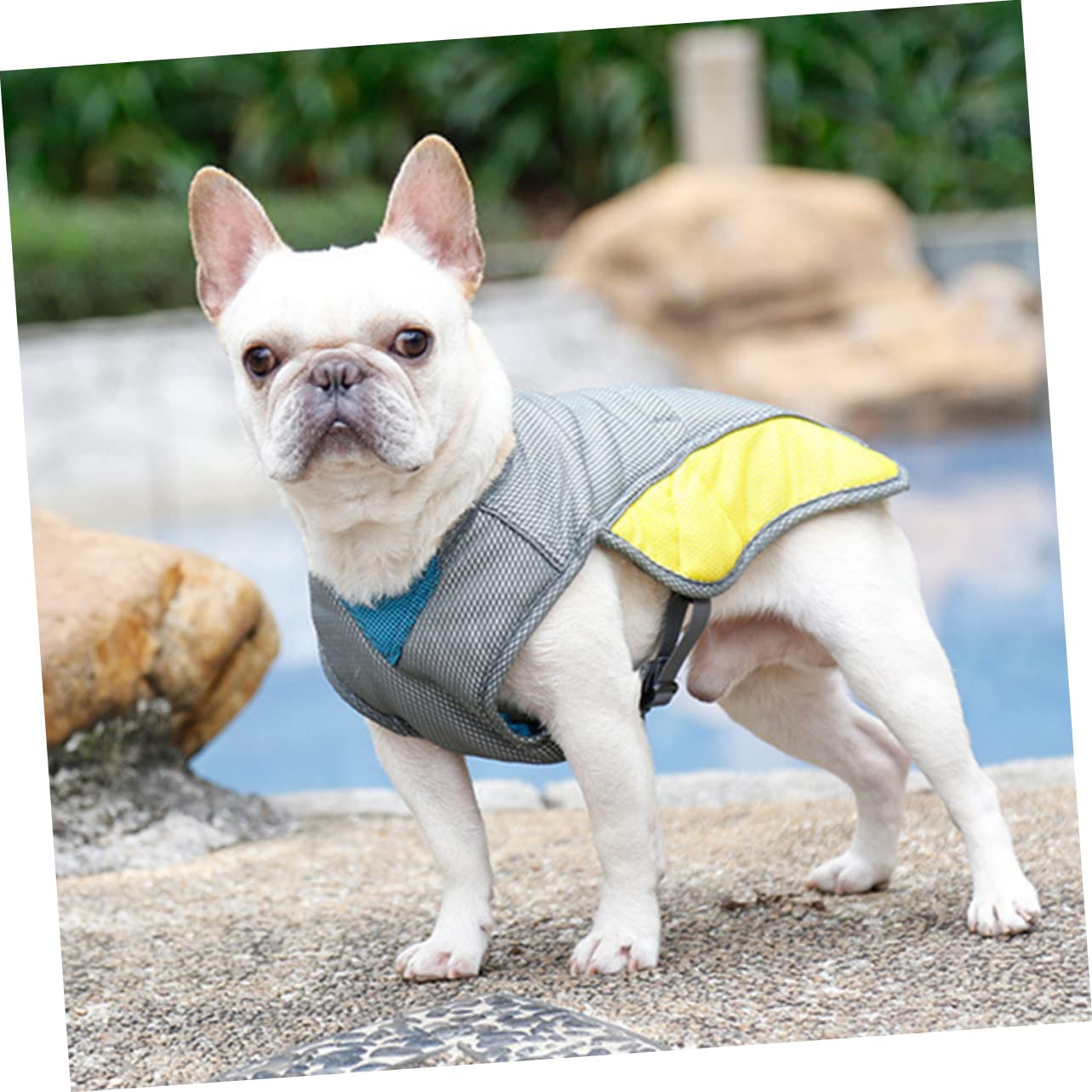 Kisangel 2pièces Gilet Rafraîchissant pour Chiens s Veste De Refroidissement Respirante Et Réfléchissante pour Animaux De Compagnie Été Couleurs Assorties