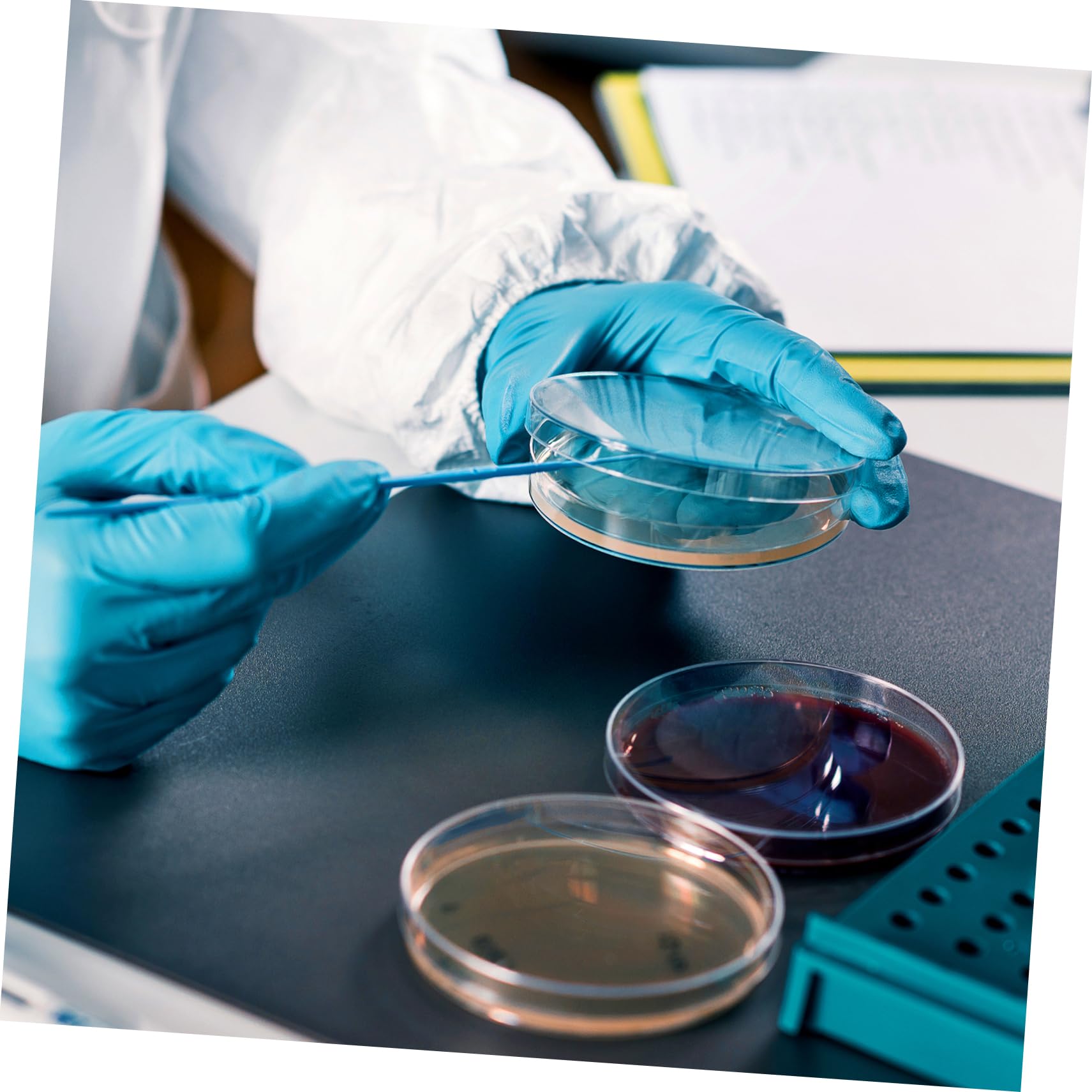 Vorgegossene Agar-petrischalen 20-teiliges Set 7 Cm Nähragarplatten Einfach Zu Verwendendes Wissenschaftliches Laborzubehör