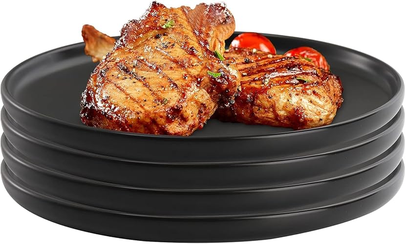 ZENFUN Set of 4 Porcelain Dinner Plates, 10 Inch Matte Ceramic Dish Steak Plates, Elegant Large Round Serving Plates for Salad, Pasta, Pizza, Dishwasher & Microwave Safe, Black - Black