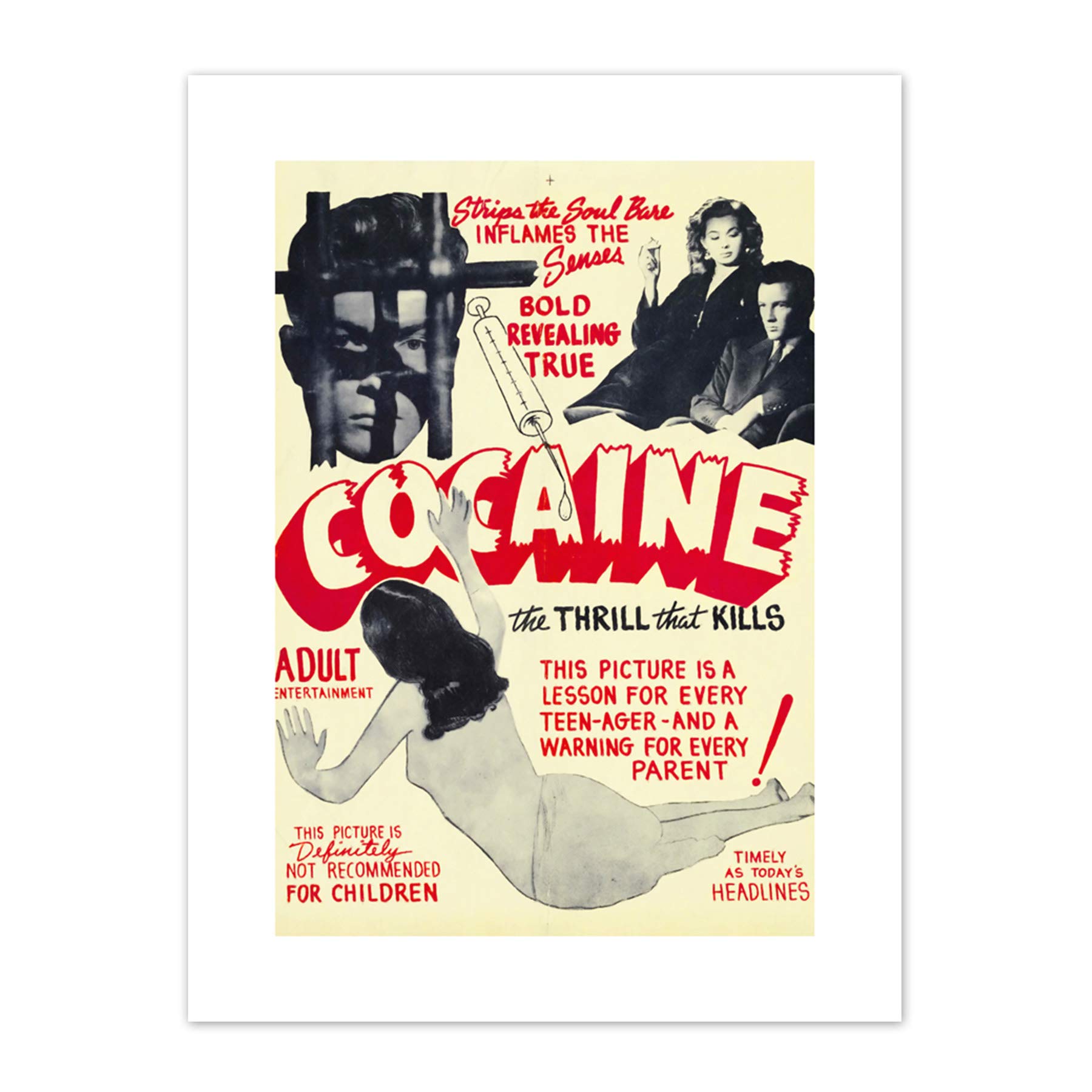 Cocaine Thrill that Kills Drugs Canvas Wall Art Print