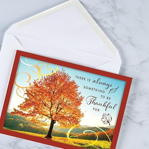 Miniatura 6 de Current Juego de 8 tarjetas de felicitación de belleza otoñal de Acción de Gracias, juego de 8 tarjetas grandes de 5 x 7 pulgadas, paquete variado