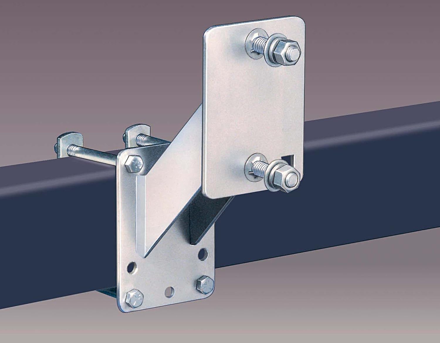 Reese Towpower 7016300 Trailer Spare Tire Carrier, Security Locking Hole to Lock Wheel and Bracket to Trailer