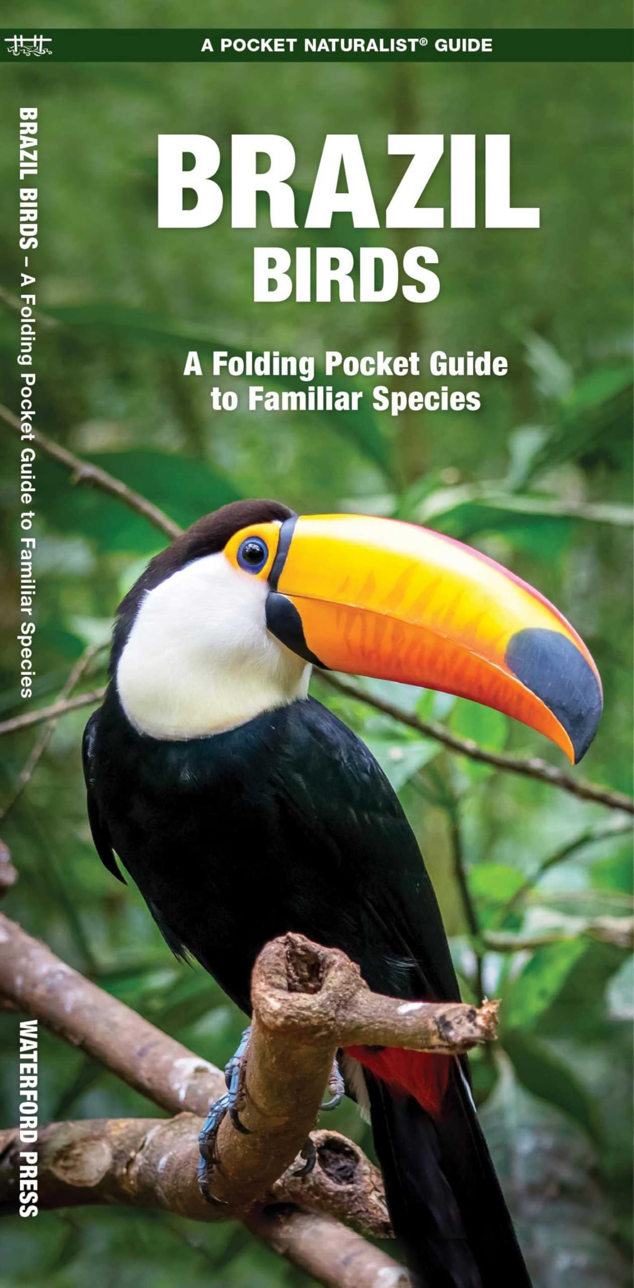 Brazil Birds: A Folding Pocket Guide to Familiar Species (A Pocket Naturalist Guide) (Nature Observation International)