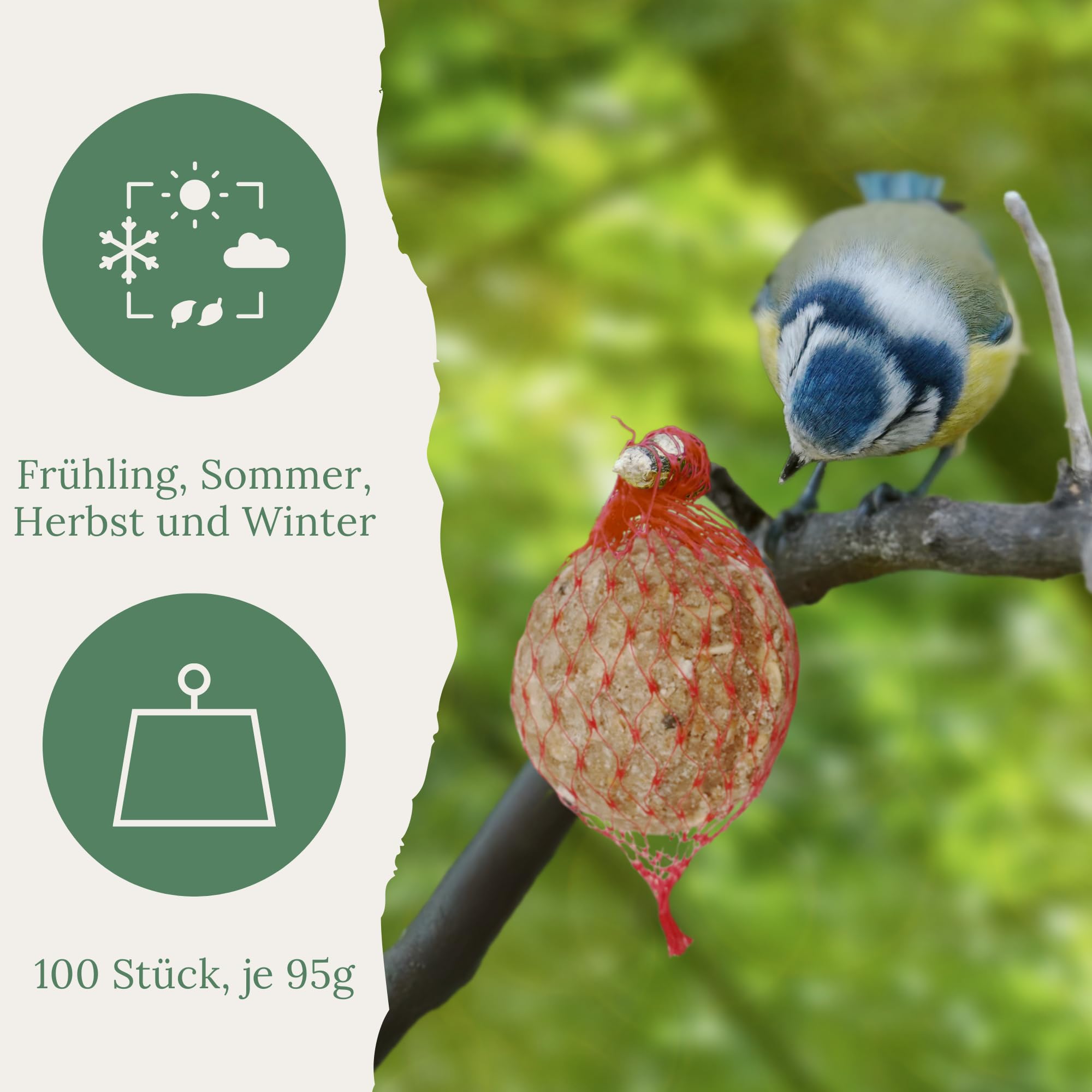 Orni 100 Stück Insektenknödel mit Netz | Leckere Meisenknödel mit Insekten für heimische Wildvögel | ganzjährig für Frühling, Sommer, Herbst und Winter | Fettfutter zum Aufhängen