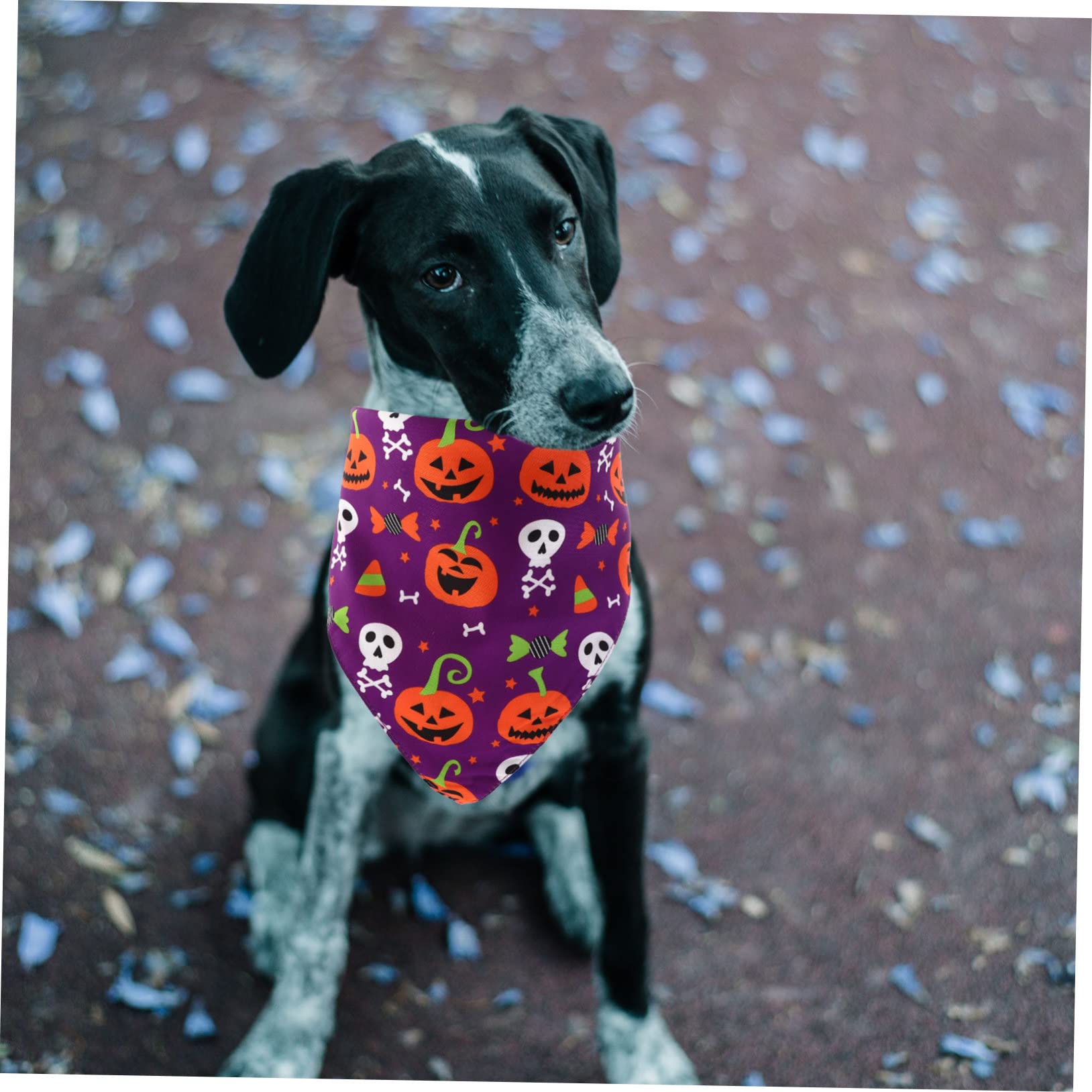 Kisangel 5 Piezas Toalla Triangular para Mascotas Halloween Costume Decoración De Bufanda Bandana para Perros Estilo Halloween Bandana para Perros Resistente Desgaste Púrpura Poliéster