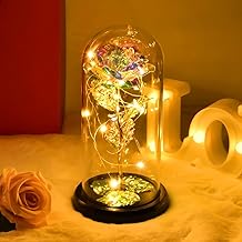 Christmas Rose Gifts for Women Mom Her,Artificial Flower with LED String Light in Glass Dome,Stocking Stuffers for Women,Gifts for Teenage Girls for Valentines Day Mothers Day Birthday Anniversary