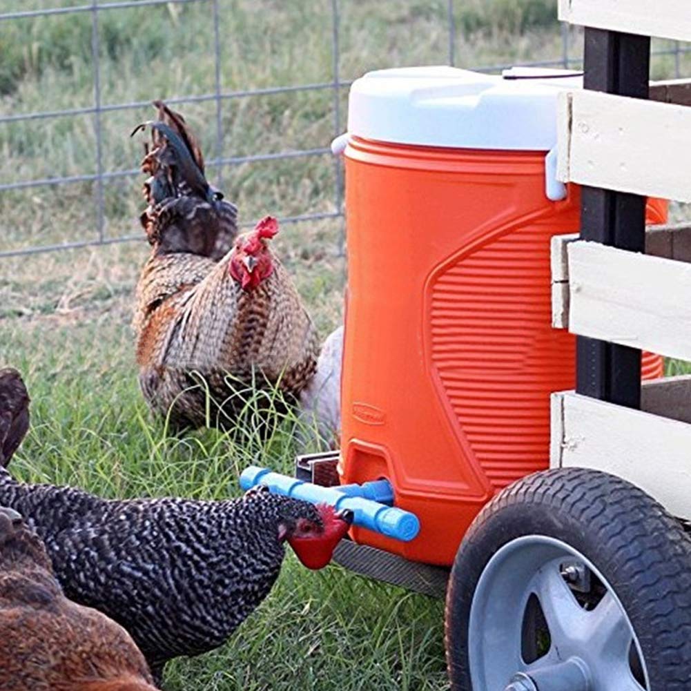 LOT DE 10 Abreuvoirs Et Mangeoires Pour Poules, Pour Cailles