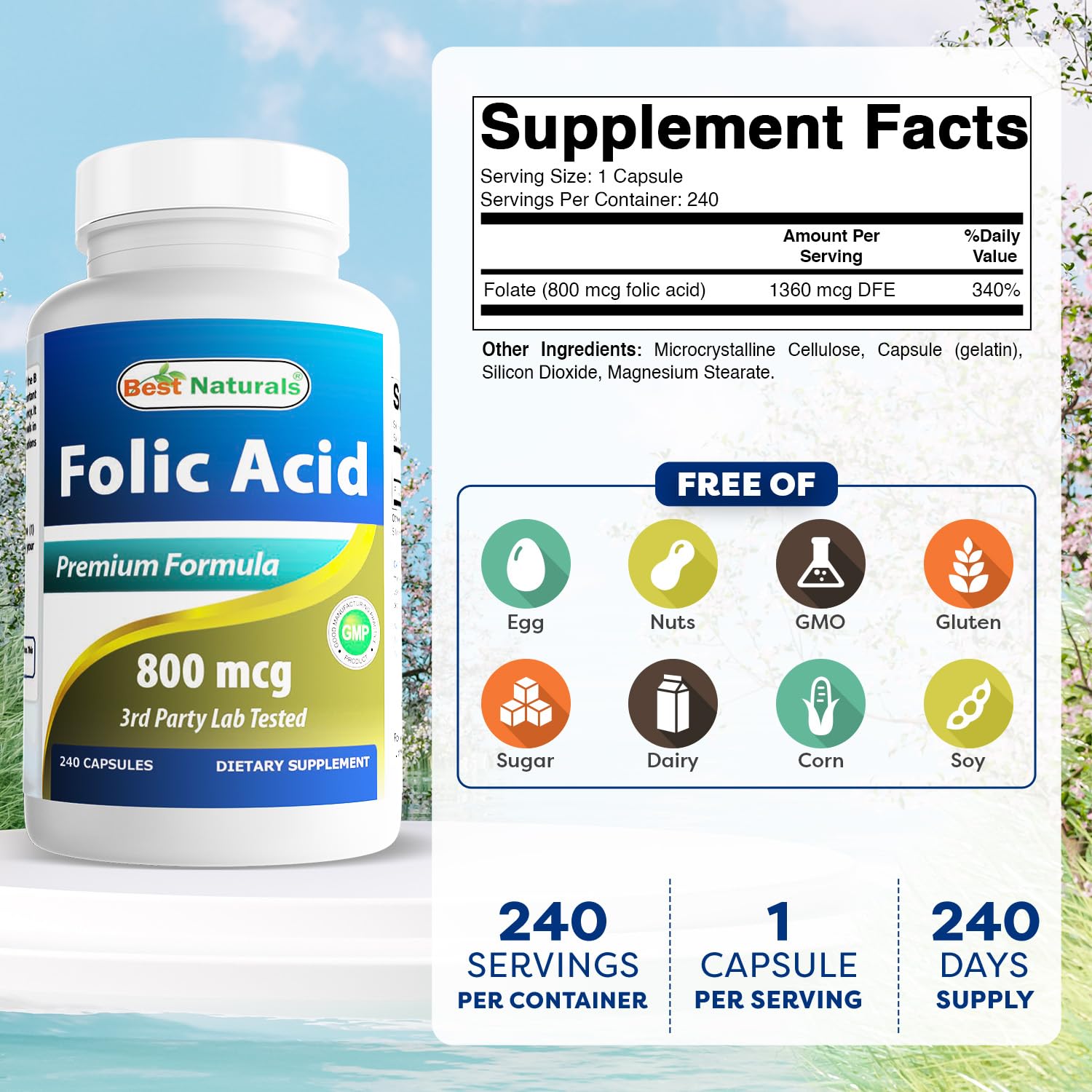 Best Naturals Folic Acid 800 mcg 240 Capsules — Amazon image 2