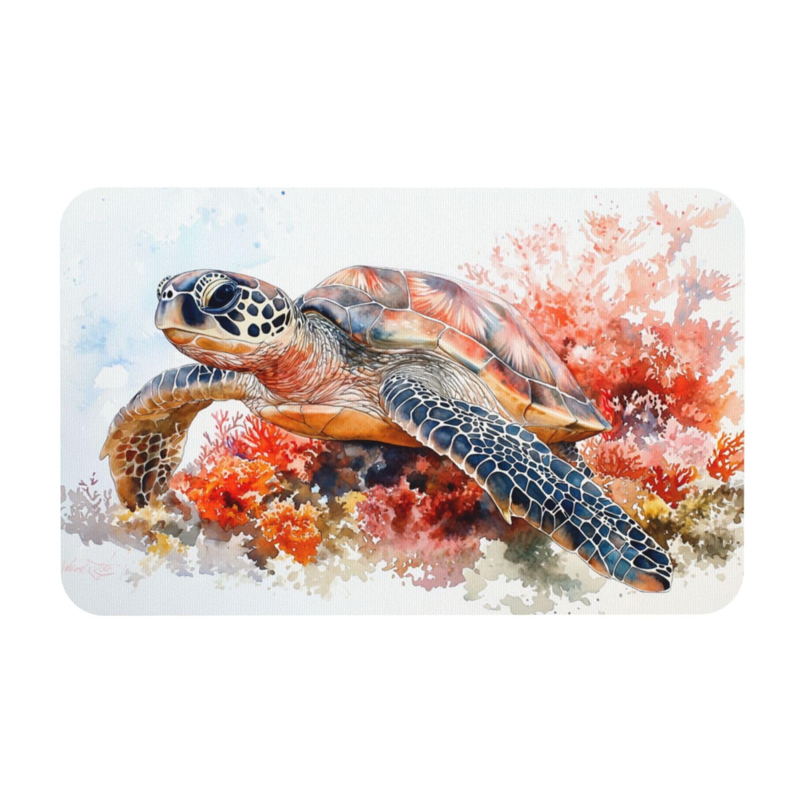 Tapis antidérapant lavable intérieur extérieur 50x80 cm pour cuisine et chambre
