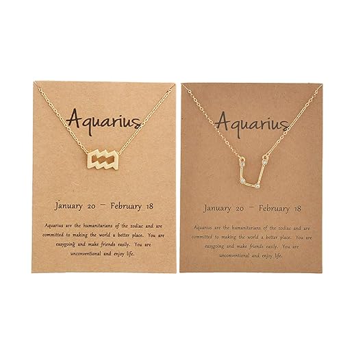 2Pcs Zodiac Necklace Set 12 Constellation Pendant Necklace Zodiac Sign Necklace Astrology Birthday Gift Zodiac Pendant Horoscope Constellations Necklace for Women Zodiac Jewellery Christmas Gift
