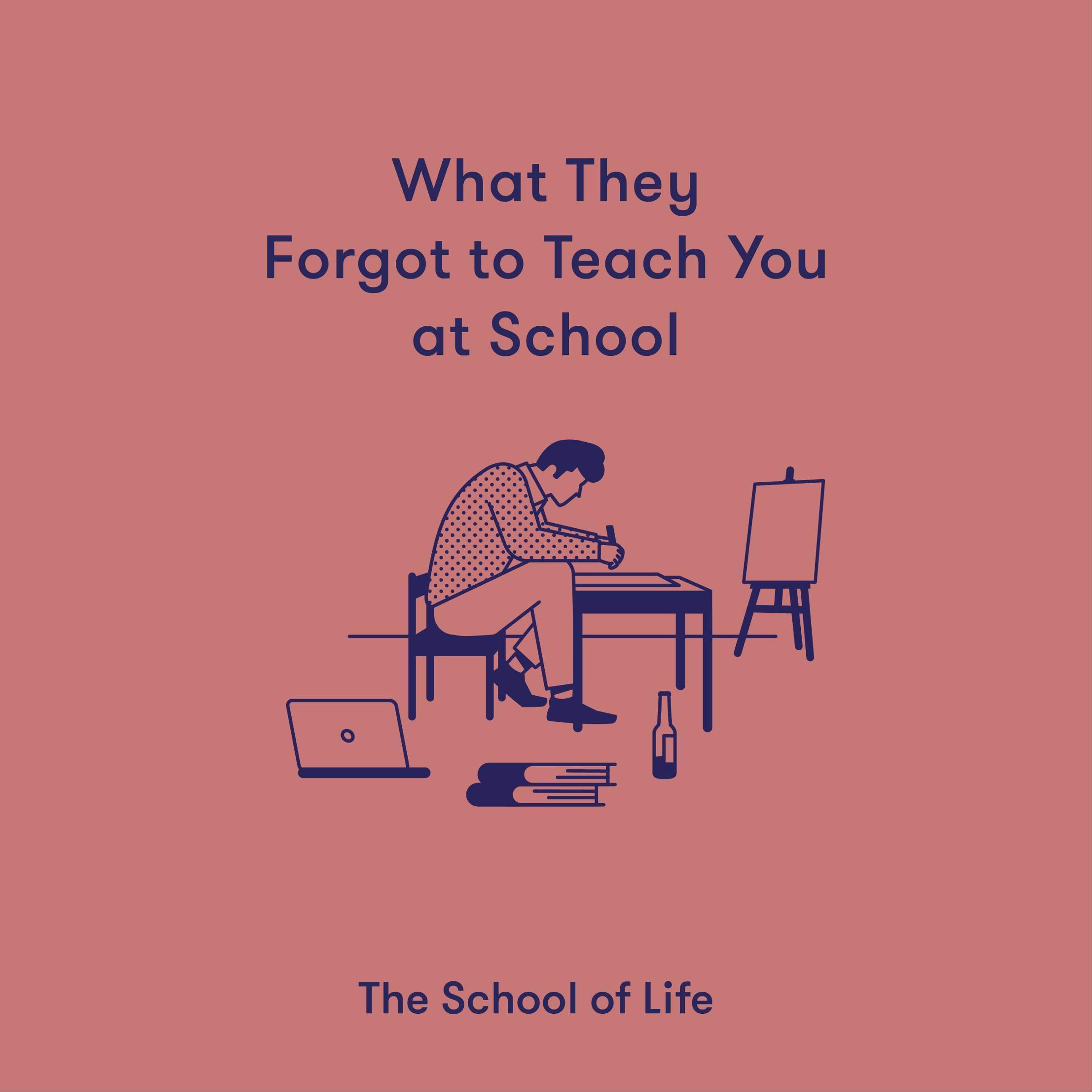 Cover art for What They Forgot to Teach You at School
