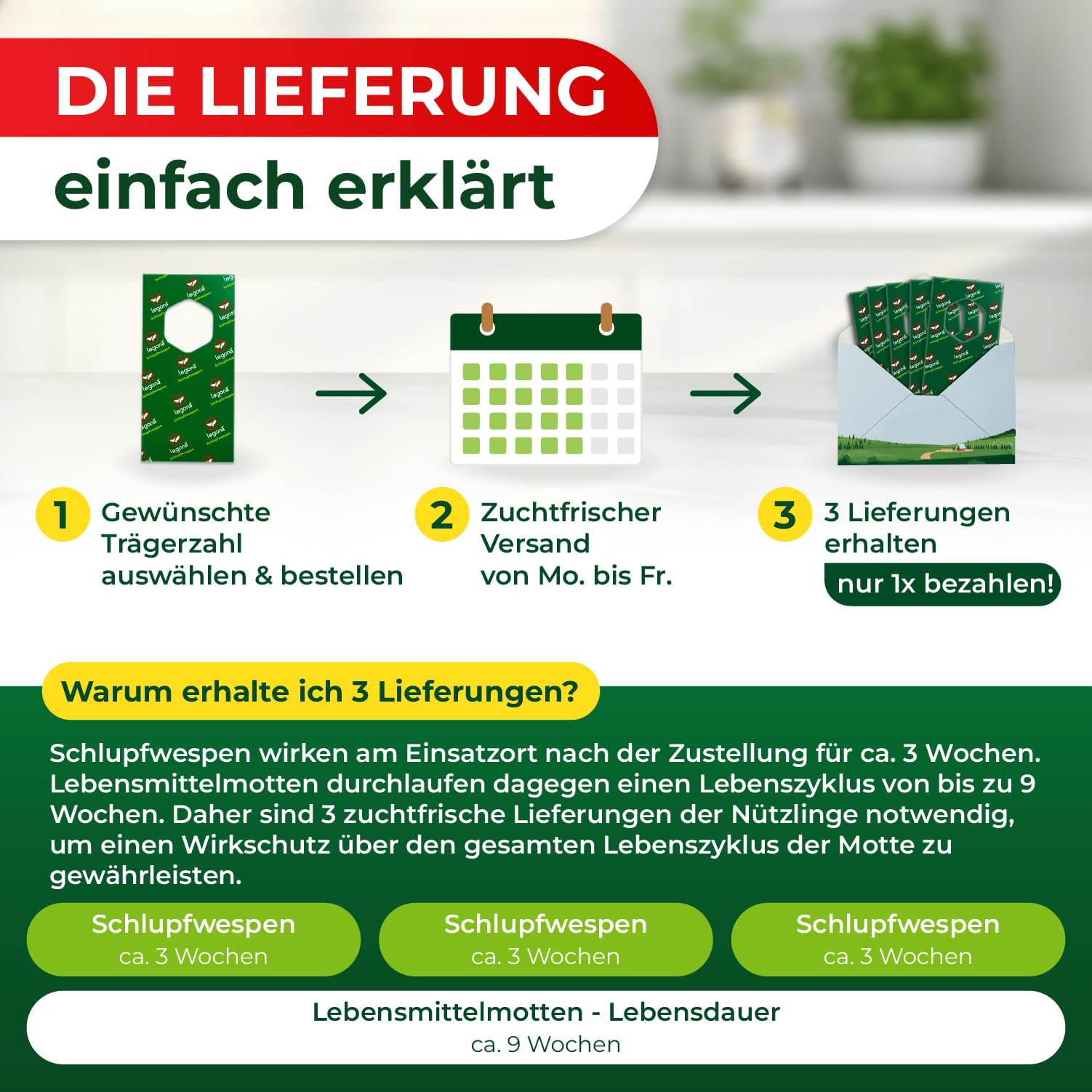 Legona Schlupfwespen gegen Lebensmittelmotten, 3 Lieferungen mit je 5 Trägern, 9 Wochen Vollbehandlung