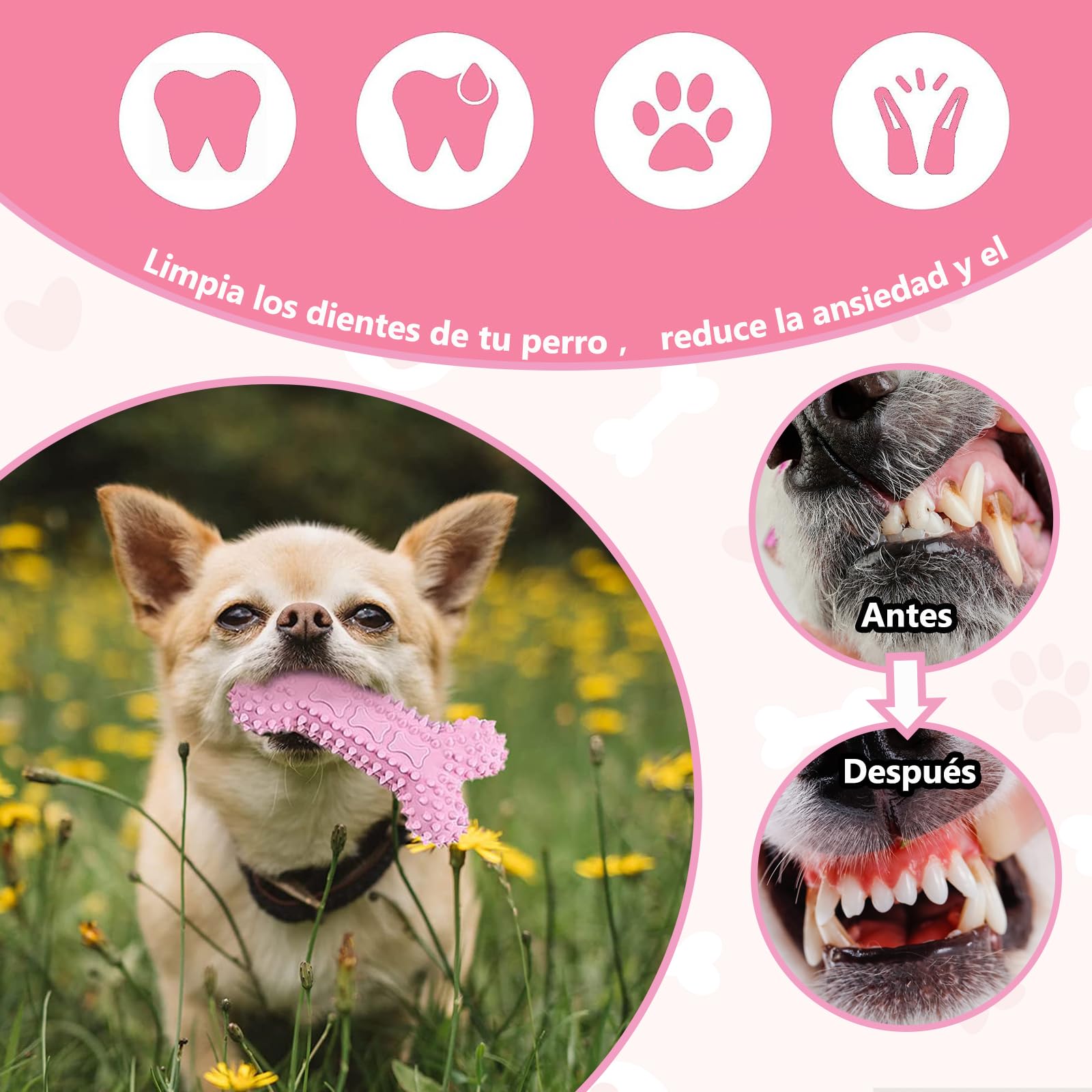 Pelota Para Perro Kong Juguete Para Perro WWHHZJJ Juguetes Para