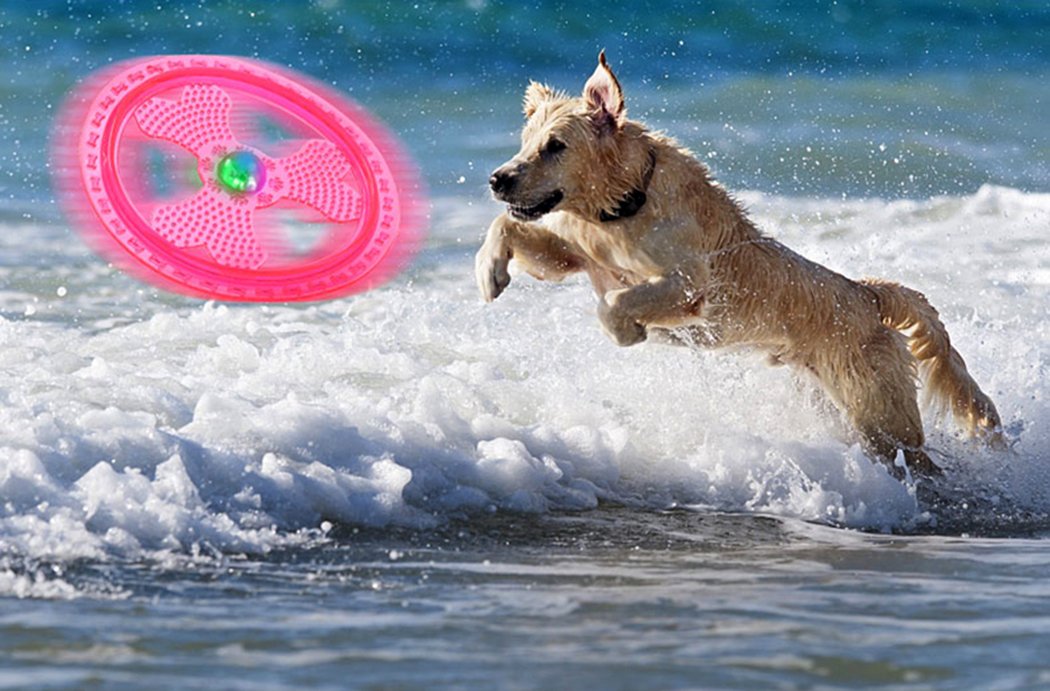 Hundefrisbee, Sportgerät/Spielzeug für Hunde, mit blinkenden LED-Lichtern, leuchtet auf für ultimatives Spielen im Dunkeln, blau