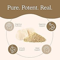 Vista 2 de Lions Mane polvo de extracto de hongos Real Mushrooms. Certificado orgánico 2.11 oz a granel. Hongo melena de león en polvo, perfecto