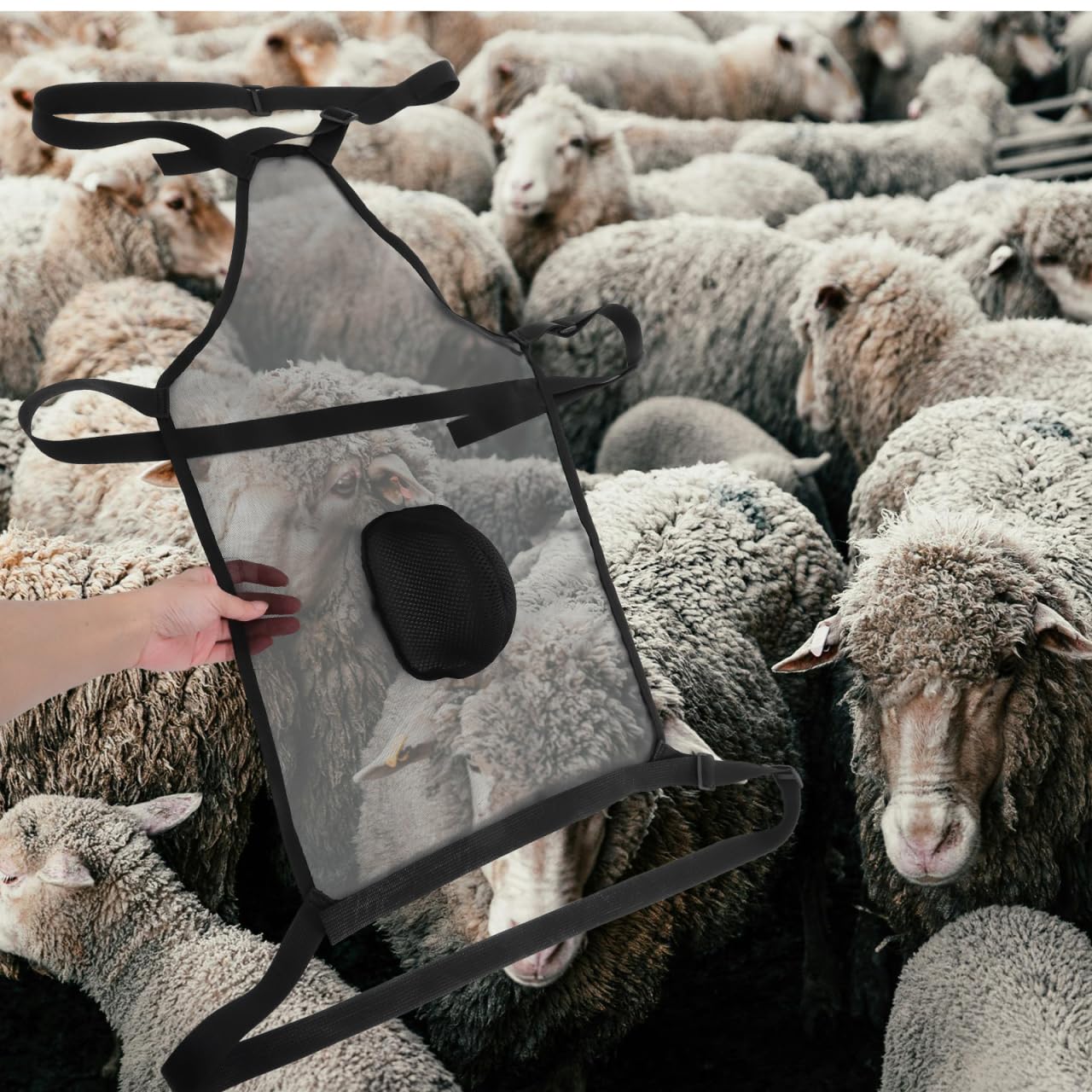 Abaodam Anti-Zuchtschürze Für Schafe Und Ziegen Mit Verstellbarem Riemen Aus Atmungsaktivem Mesh Zur Effektiven Zuchtkontrolle Und Viehmanagement