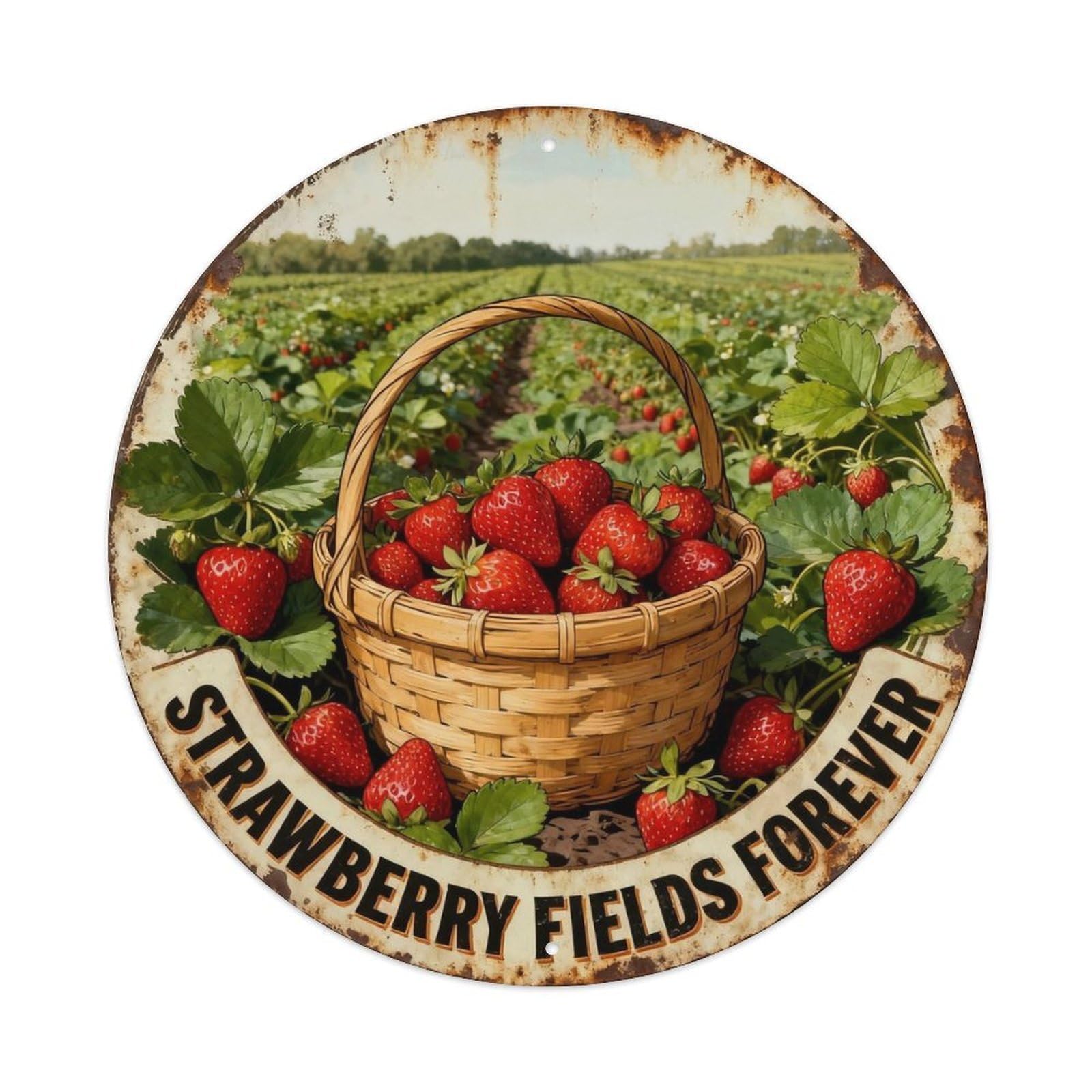 Strawberry Fields Forever Metal Tin Sign Plaque