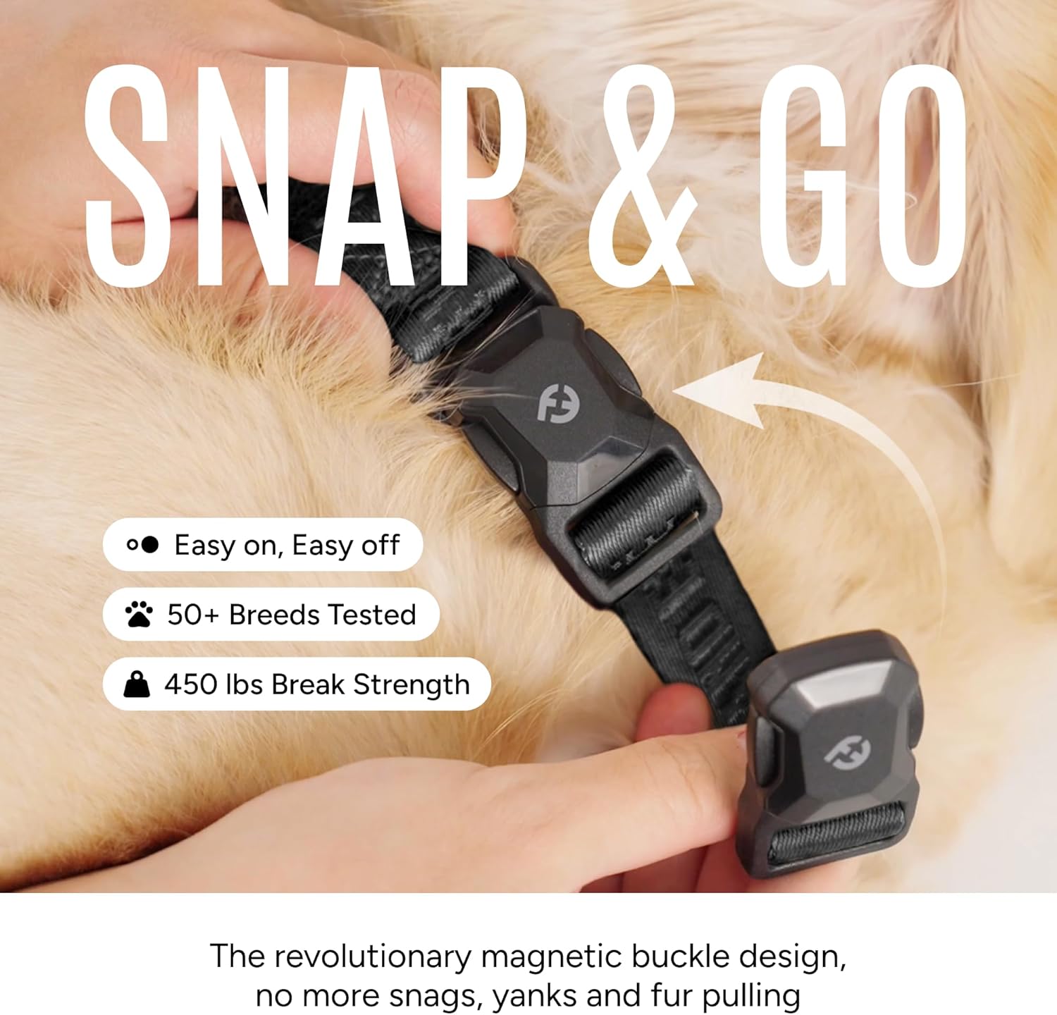 Fei & Eve MagEase Dog Collar - Patented Magnetic Buckles | Fur-Safe | Premium 210D Nylon | 450LB Escape-Proof | Adjustable Fit | Small (Black)