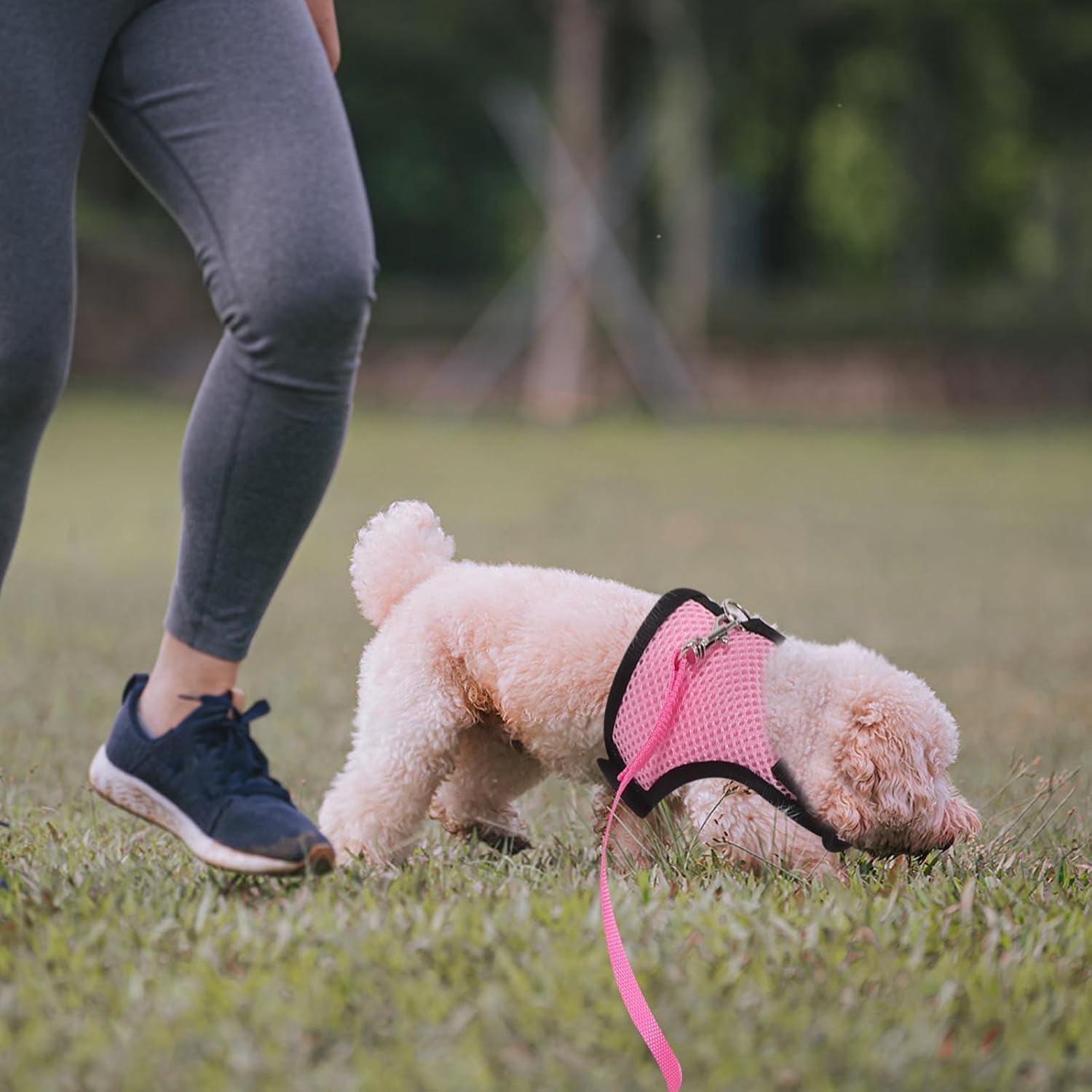 2pcs Adjustable Small Pet Harness Leash Set for Kittens and Small Pets, Breathable Mesh Cloth Vest with Foldable Design, Easy to Carry for Outdoor Travel and Walking