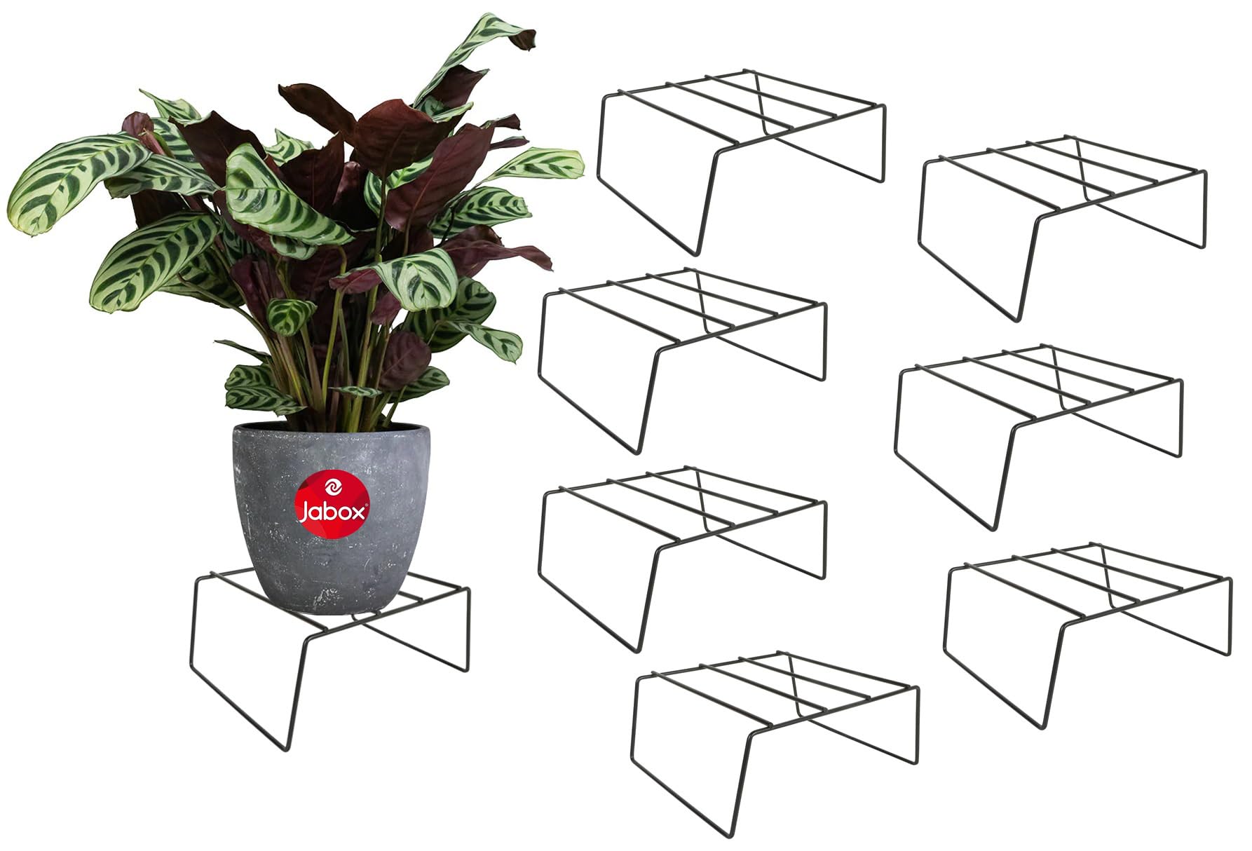Jabox Set of 8 – Iron Indoor/Outdoor Flower Pot/Plant Stand for Home Garden Balcony Living Room Decor, Black [24 X 9 CM] (PS-02-Pack-8) (B0CFFXVFHG) Amazon Price History, Amazon Price Tracker