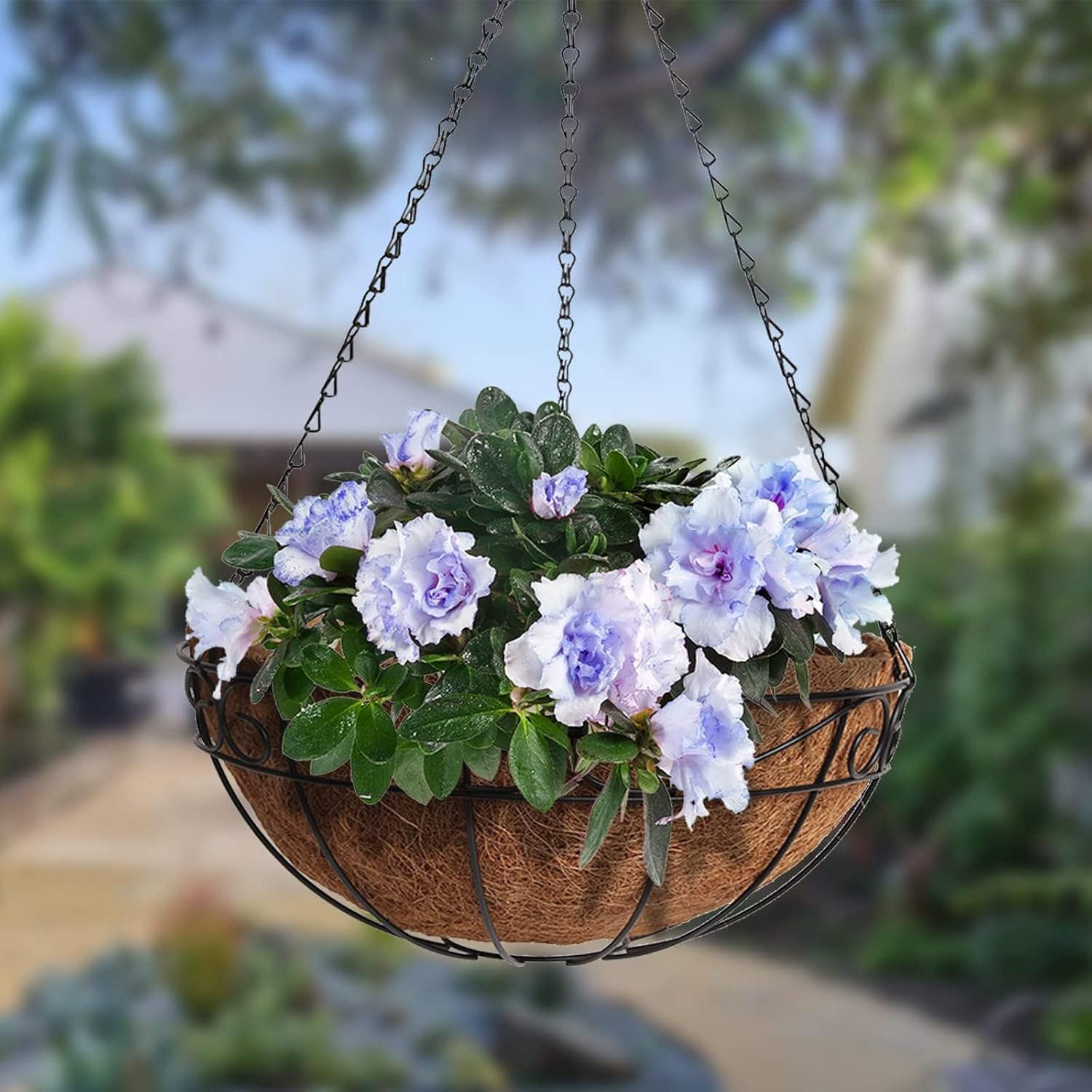 24 inch 2 Pack Round Coco Liner for Replacement Hanging Planter Basket Liner, Pre-Formed Coconut Liner