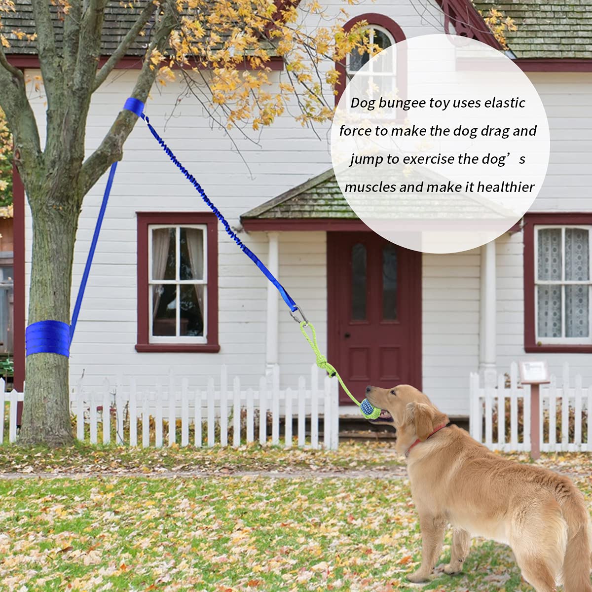 Bungee Tether Outdoor Dog Toy Bungee Tether Tug Dog Toy With Puzzle Balls |  Outdoor Interactive Play For Multiple Dogs Squirrel Dog Toy