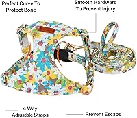 Vista 83 de CHEDE No Pull Floral Pattern Dog Harness - Lightweight and Soft, Adjustable Small Dog Harness Set with Leash, Suitable for Puppy to Medium-Sized Dog