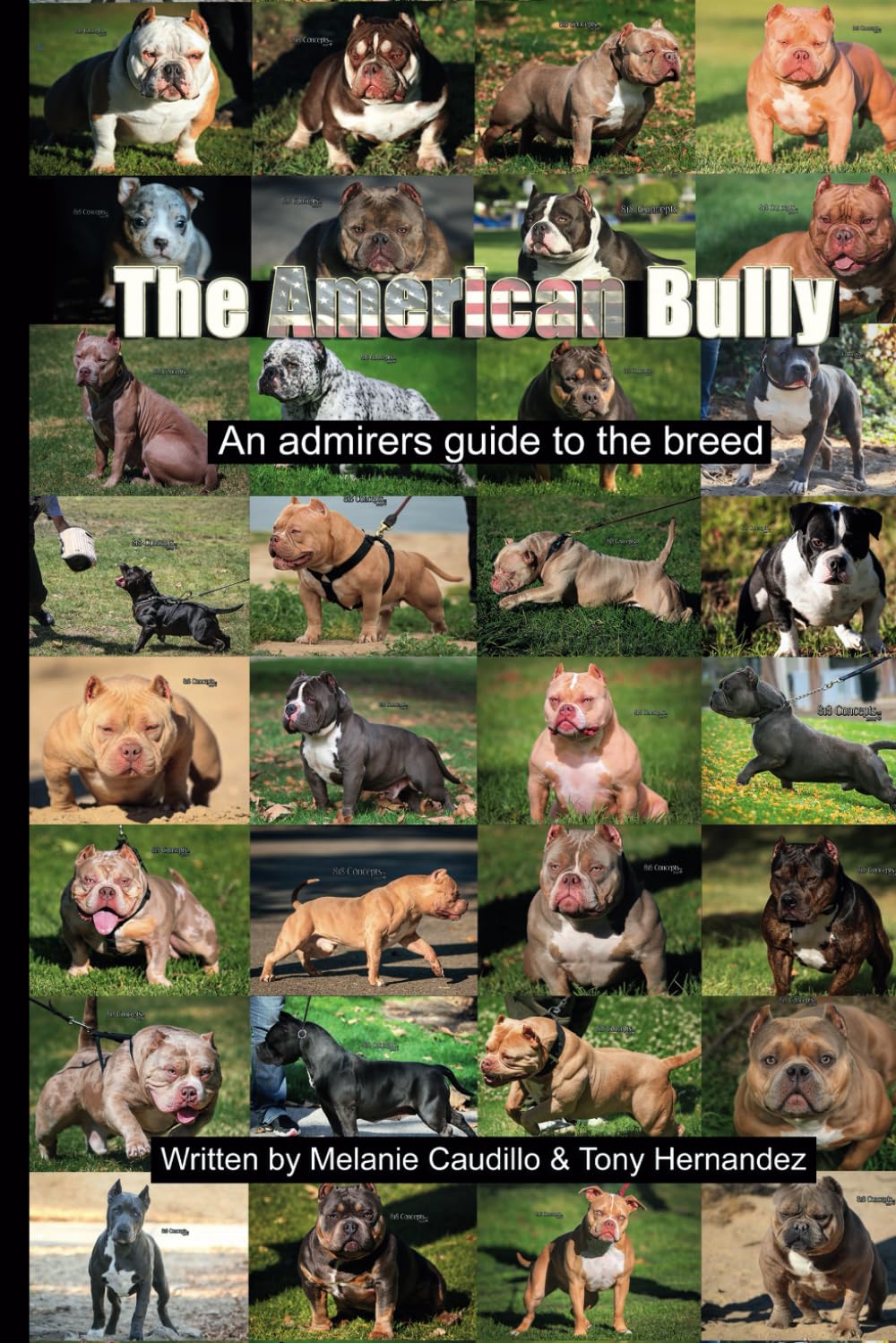 The American Bully : An admirers guide to the breed