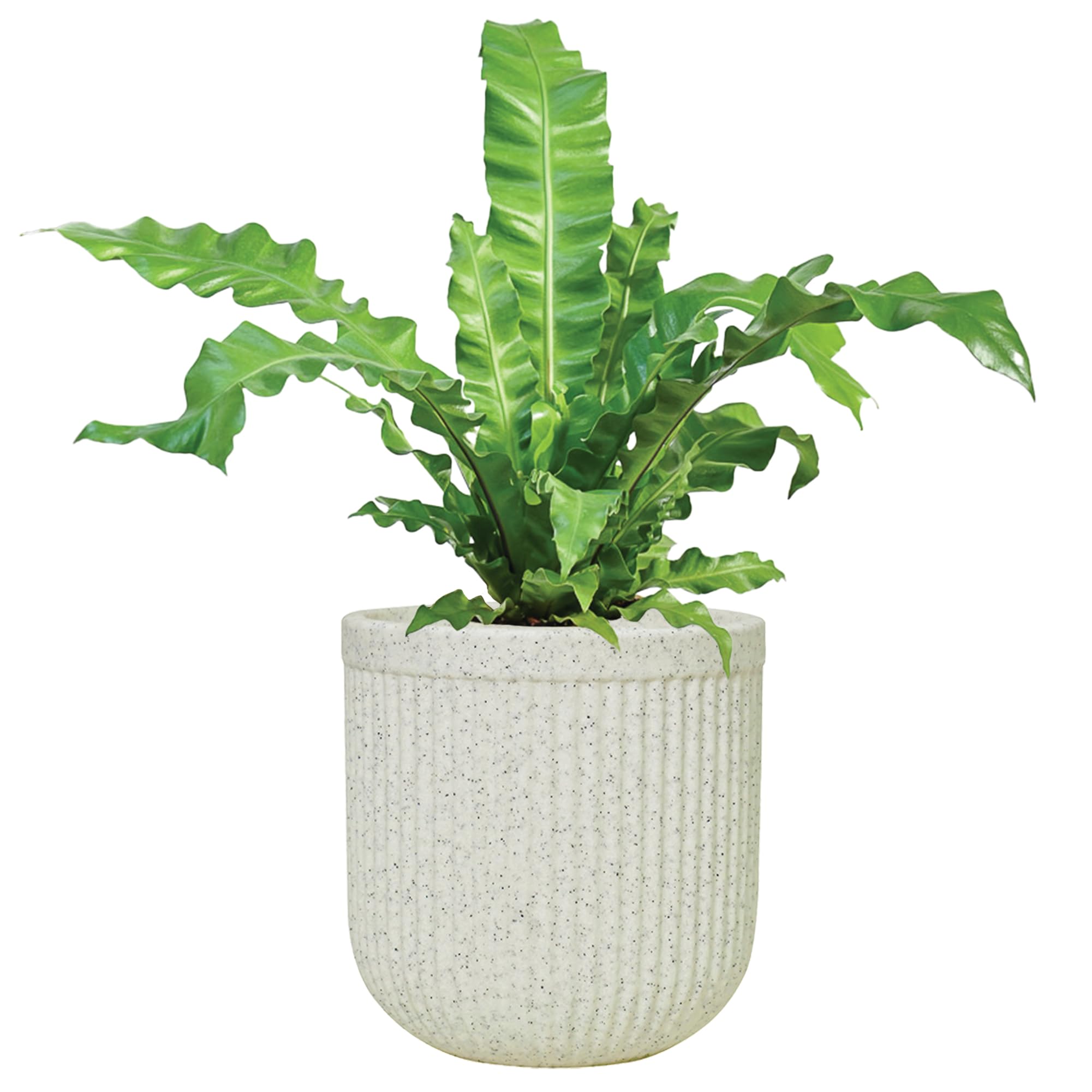 UGAOO Tokyo Round Pots for Plants (20 inches, Whitestone) | Durable Planters for Indoor & Outdoor Use | Stylish Flower Pot Gamla for Living Room, Balcony, Garden (B0D2LJHNTN) Amazon Price History, Amazon Price Tracker