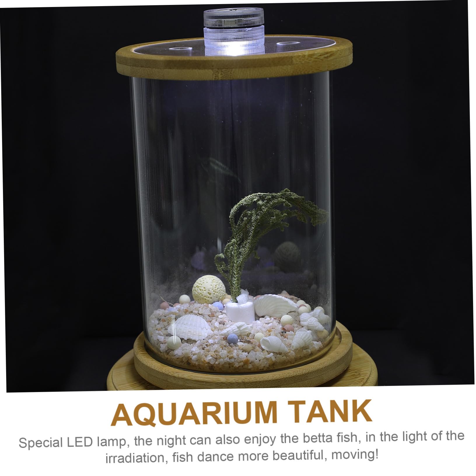 Dekoratives Aquarium 1 Satz Grün Glas für Haushalt