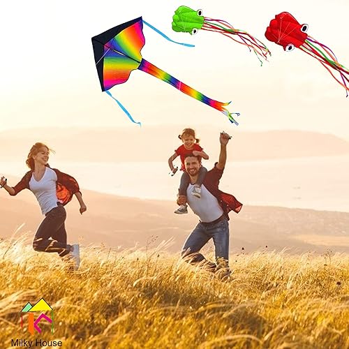 Miniatura 8 de Paquete de 6 cometas de pulpo, cometa 3D de cola larga, fácil de volar, cometas de playa para personas y adultos, cometas de regalo para niños