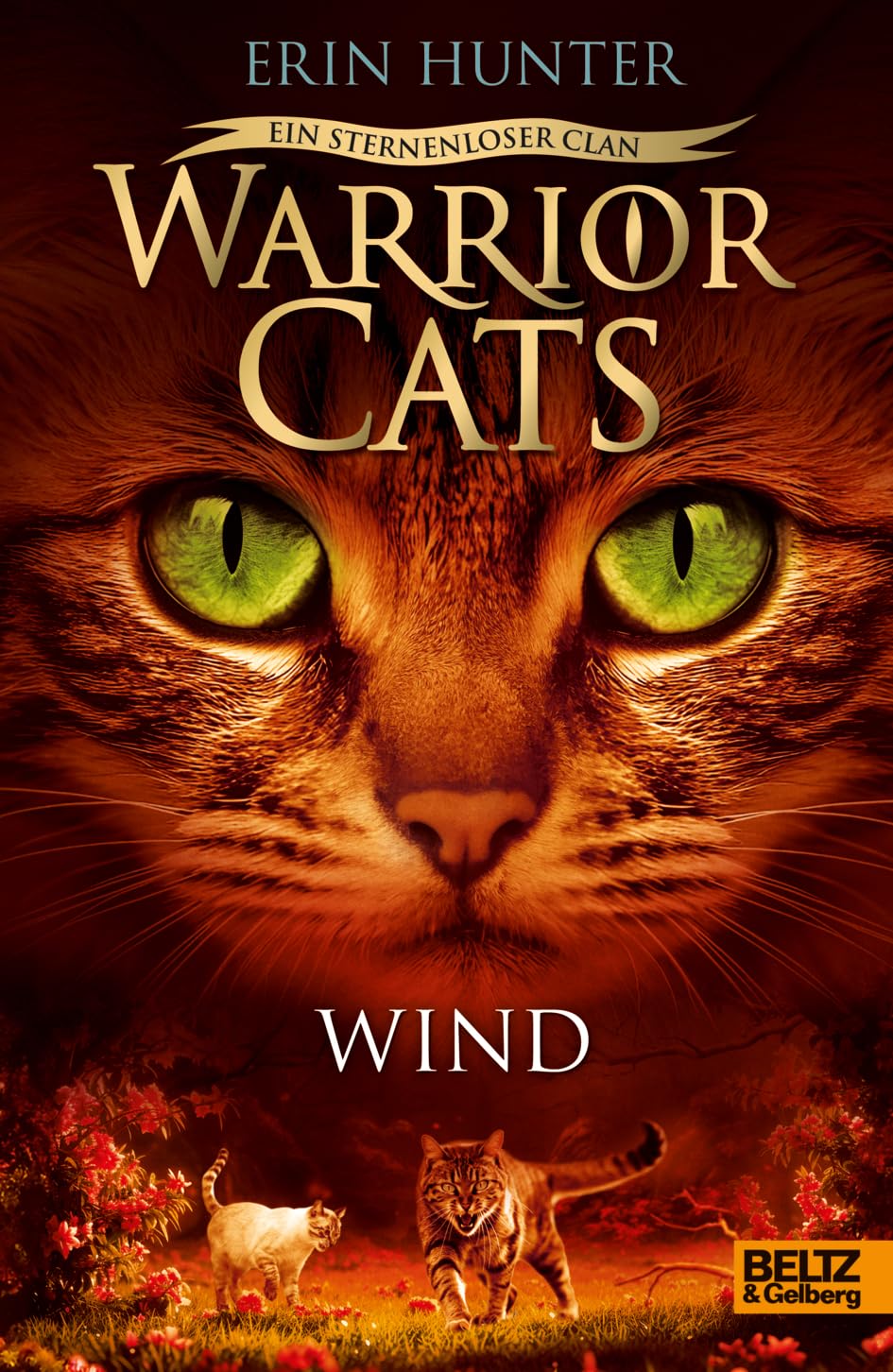 Warrior Cats - Ein sternenloser Clan. Wind: Staffel VIII, Band 5