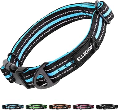 Eillchom Reflective Dog Collar with Metal Buckle Adjustable Soft Neoprene Padded Dog Collars for Small Medium Large Extra Large Dogs Blue, S