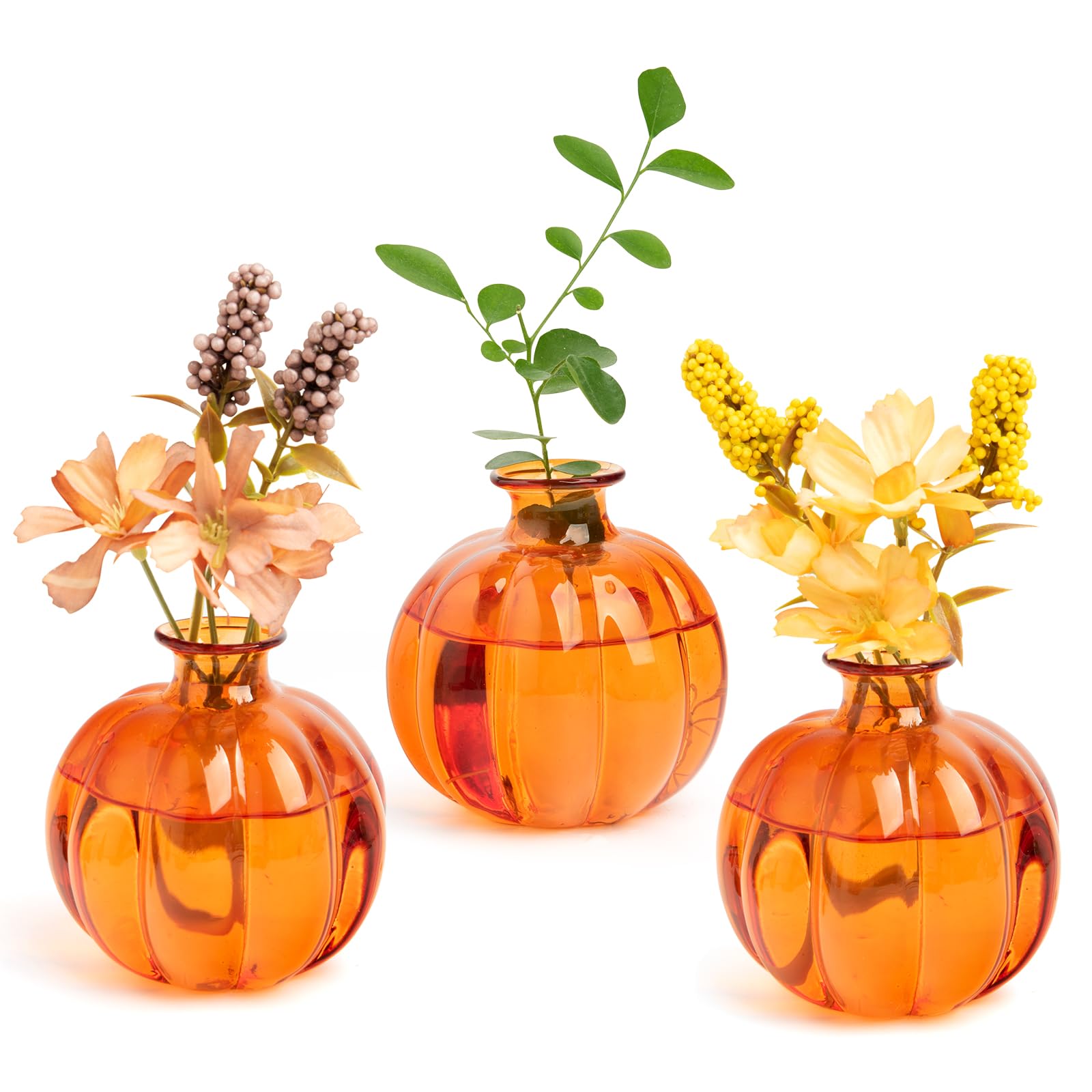 XXXFLOWER Pumpkin Shaped Glass Vase Set