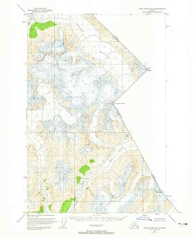 YellowMaps Taku River B 5 AK topo map, 163360 Scale, 15 X 15 Minute, Historical, 1951, Updated 1965, 20.8 x 17 in - Tyvek