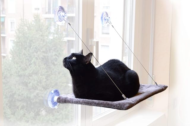 Foto 4 de 8 de United Pets - Tumbona para gatos de ventana