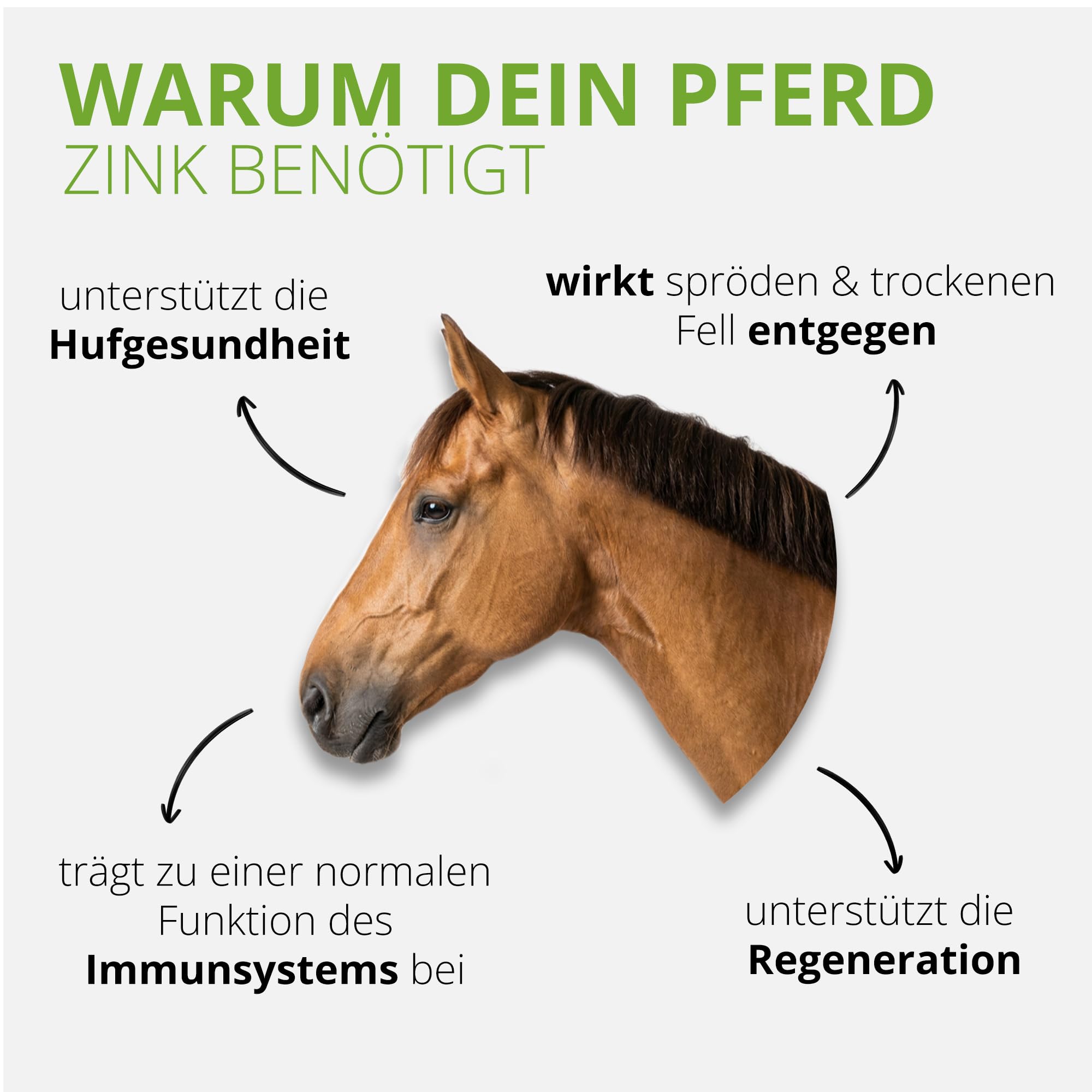 Zink Tabs 60.000 | hoch dosiert Pferde | 600 Stück I mit organischem Zink | frei von Getreide und Zuckerzusatz | 1 Tab = 50 mg Zink