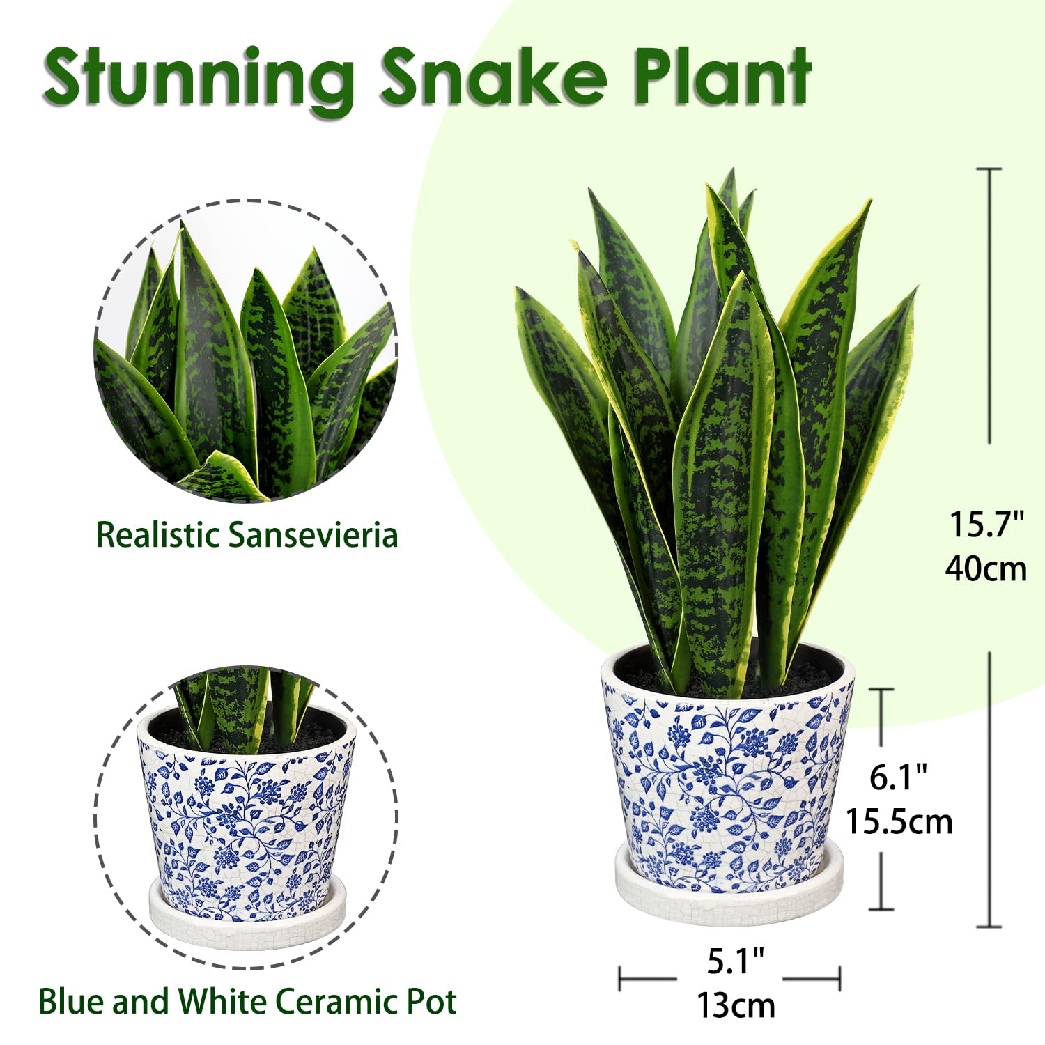 velvety pothos Pothos scandens – Delicate Three-Foliate Pothos Vine main image 0