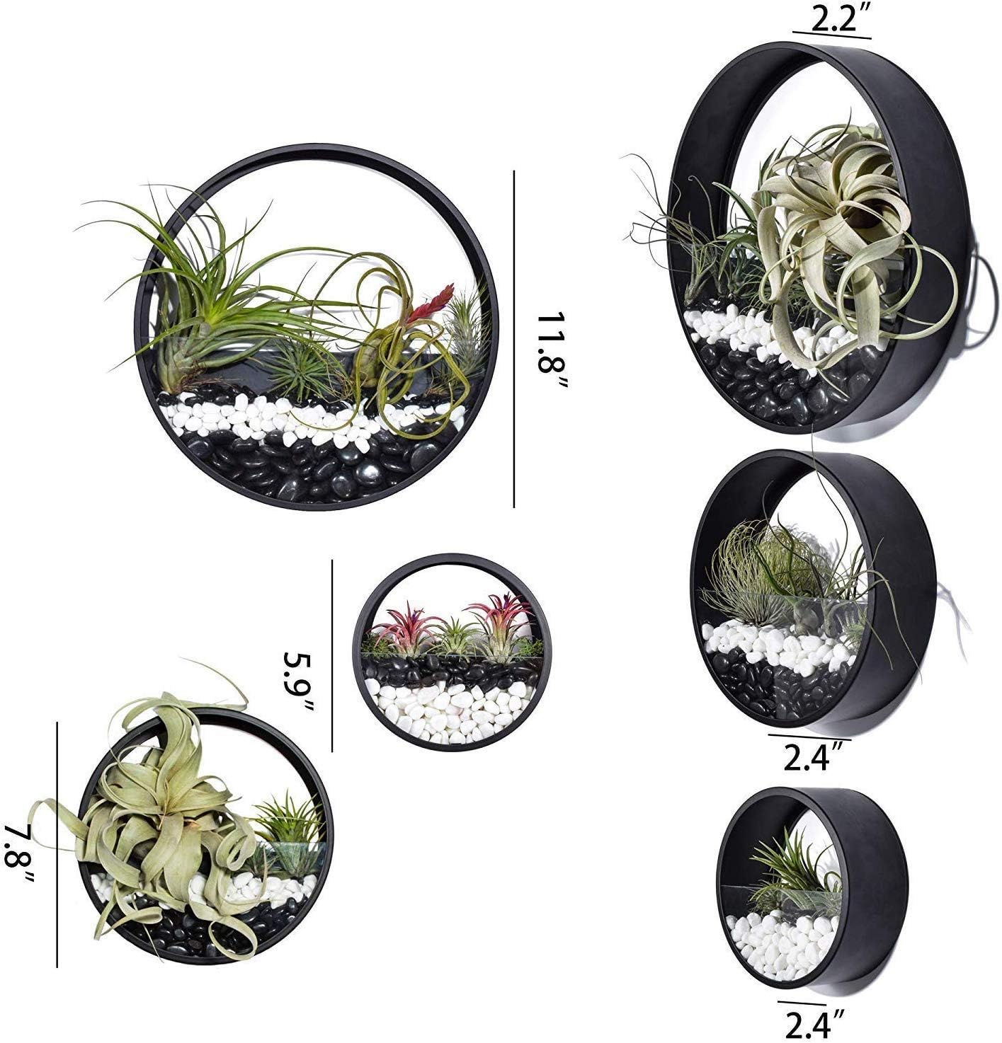 SINK Ecosides 3 pcs Wall Planter Round Metal Glass,Wall Vase Wall Terrarium Wall Flower Pot Air Plant Holder Succulent Vertical Container,Indoor Decor for Living Room,Kitchen,Balcony,Stair,Black