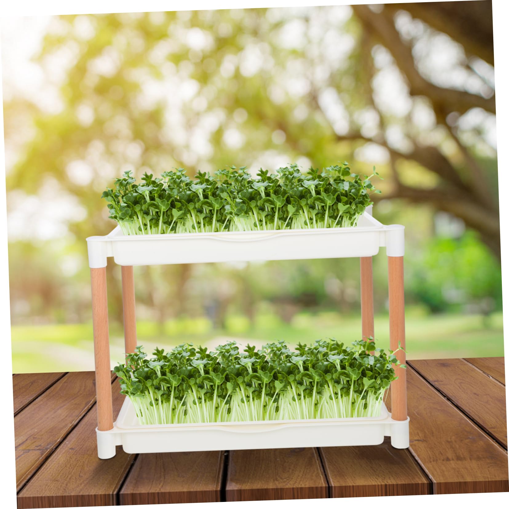 Milisten Vassoio per Coltivazione di Microgreens Doppio Strato Rete Vassoio di Avviamento per Vivaio in Pp Starter per Fagioli di
