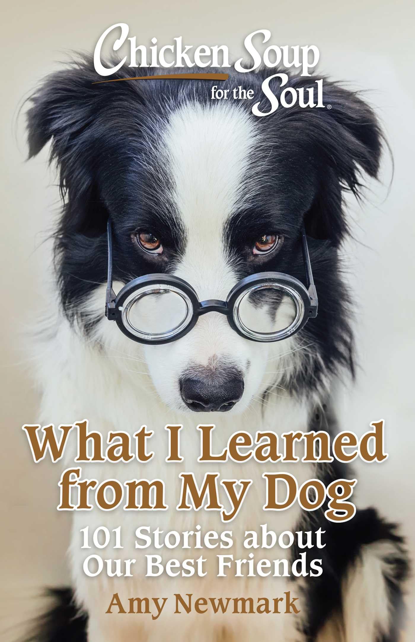 Chicken Soup for the Soul: What I Learned from , Newmark, Newmark, Paperback.+