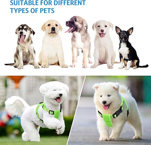 Miniatura 8 de AMIR - Arnés LED para perro, pequeño, sin tirones, sin estrangulamiento, recargable por USB, 3 modos de iluminación, ajustable, transpirable, malla