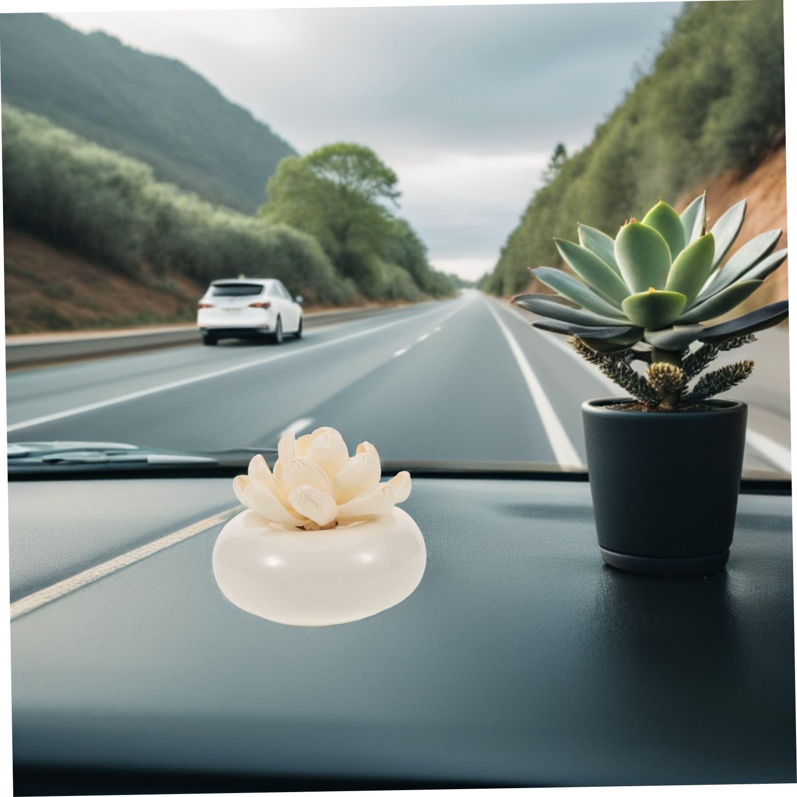 TOYANDONA Diffusore di Oli Essenziali Passivo in Ceramica Bianca, Assorbe L’olio e Rilascia Fragranza Lentamente, per Auto e Casa