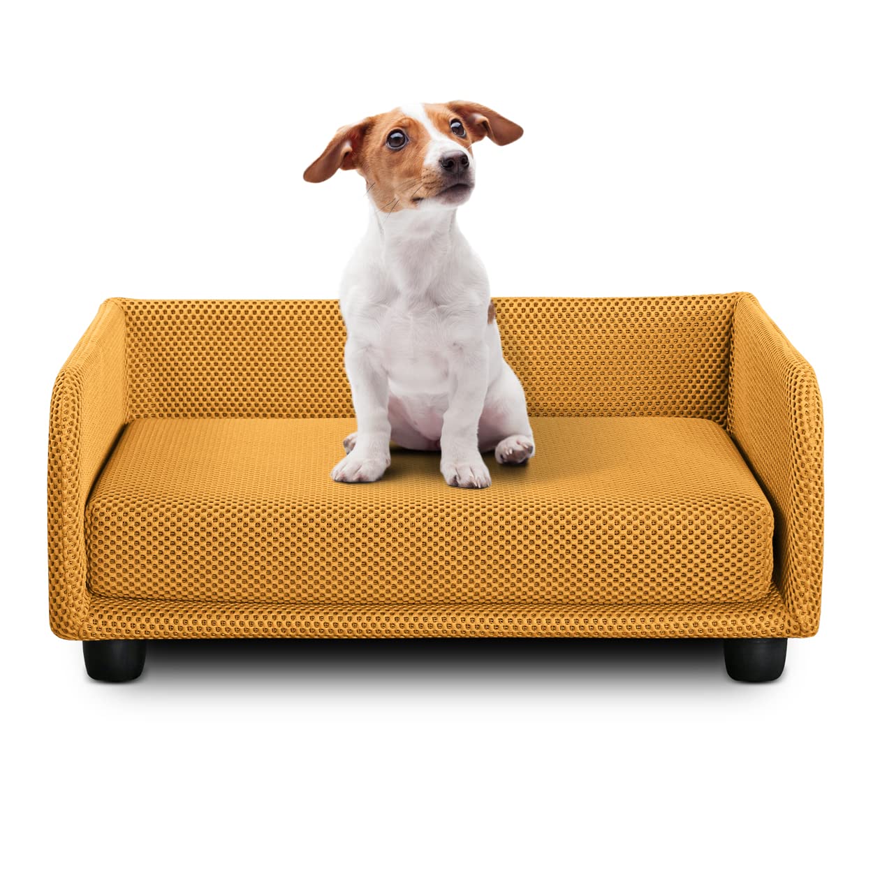Deshome - Cuccia cane interno taglia piccola, Divano Letto per cani sfoderabile in tessuto Idrorepellente, resistente, antibatterico | Cucce per cani 70x50x28 cm Giallo