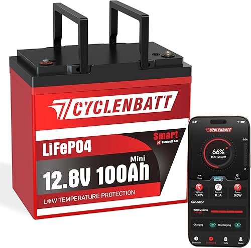 Mini batería LiFePO4 Bluetooth de 12 V 100 Ah, batería de litio de 12 voltios integrada en BMS inteligente de 100 A con protección a baja